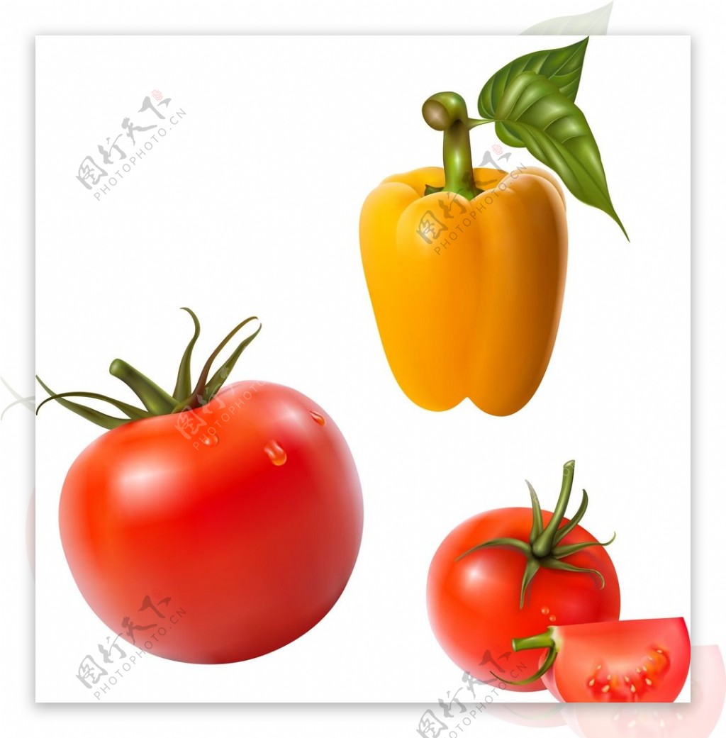 西红柿黄色彩椒
