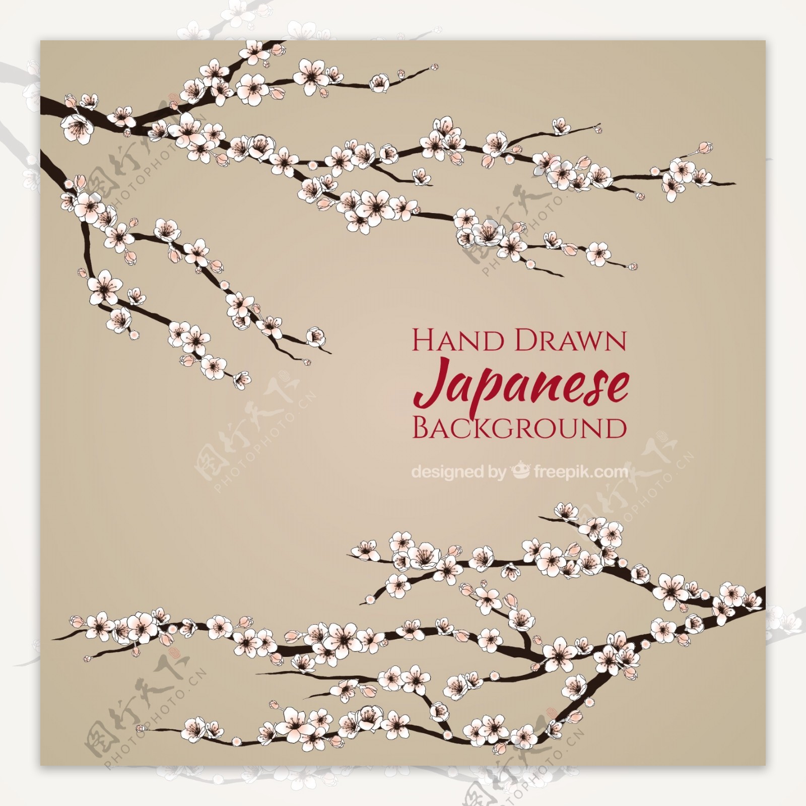 简约的日本背景与手绘樱花