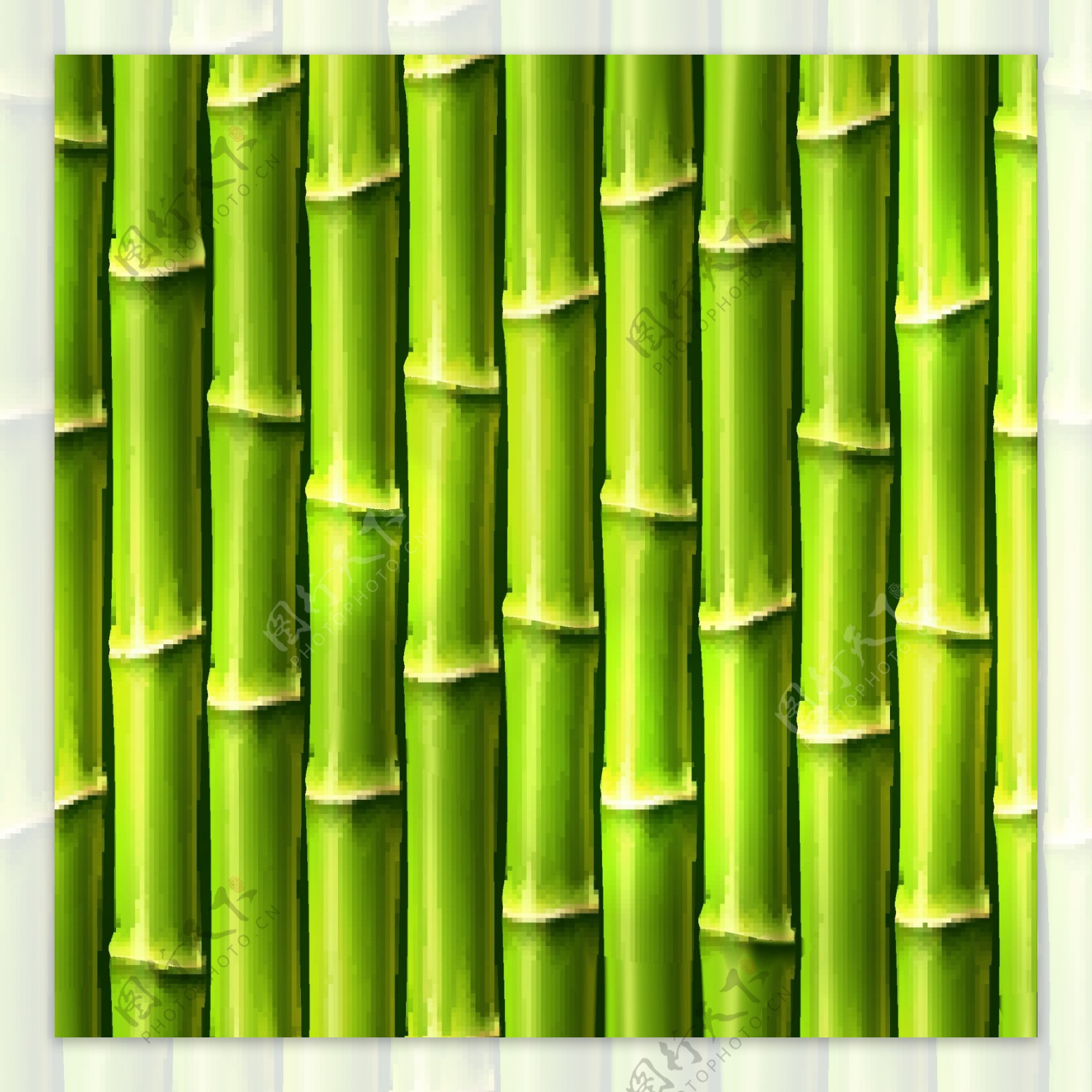 竹子背景木头背景图片