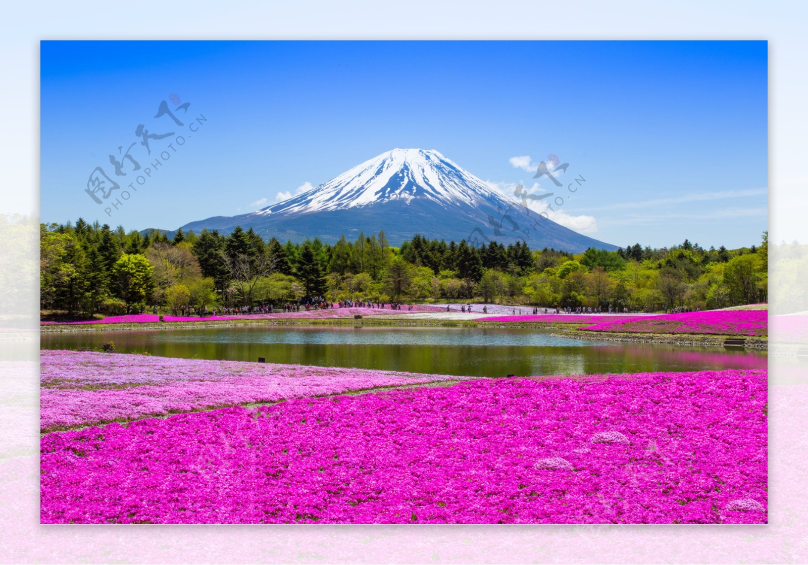 唯美富士山图片