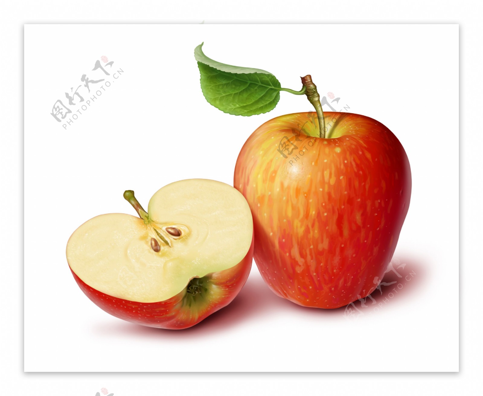 切开的苹果绿叶叶脉高清水果图片