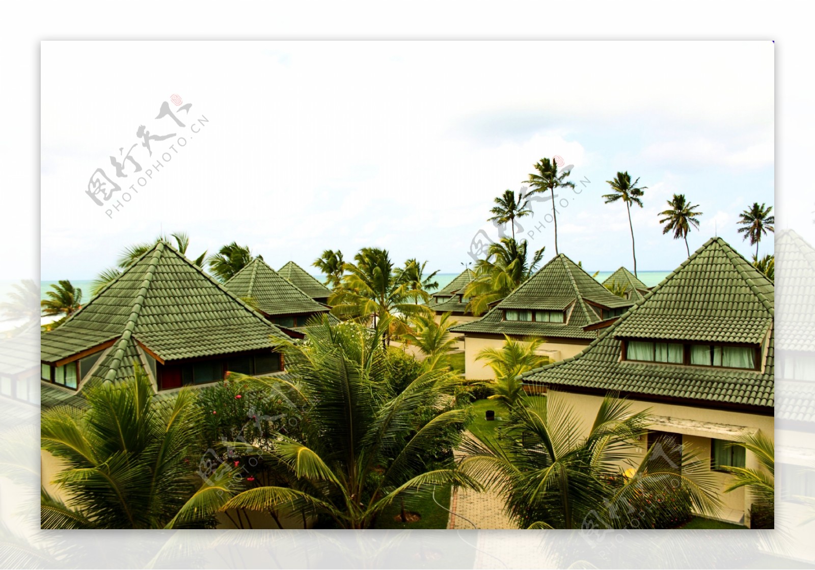 椰树林里的别墅摄影高清图片