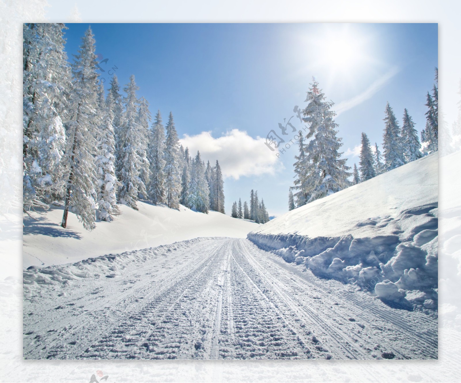 冬天马路雪地风景