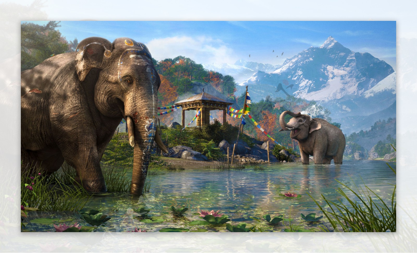河中戏水大象图片