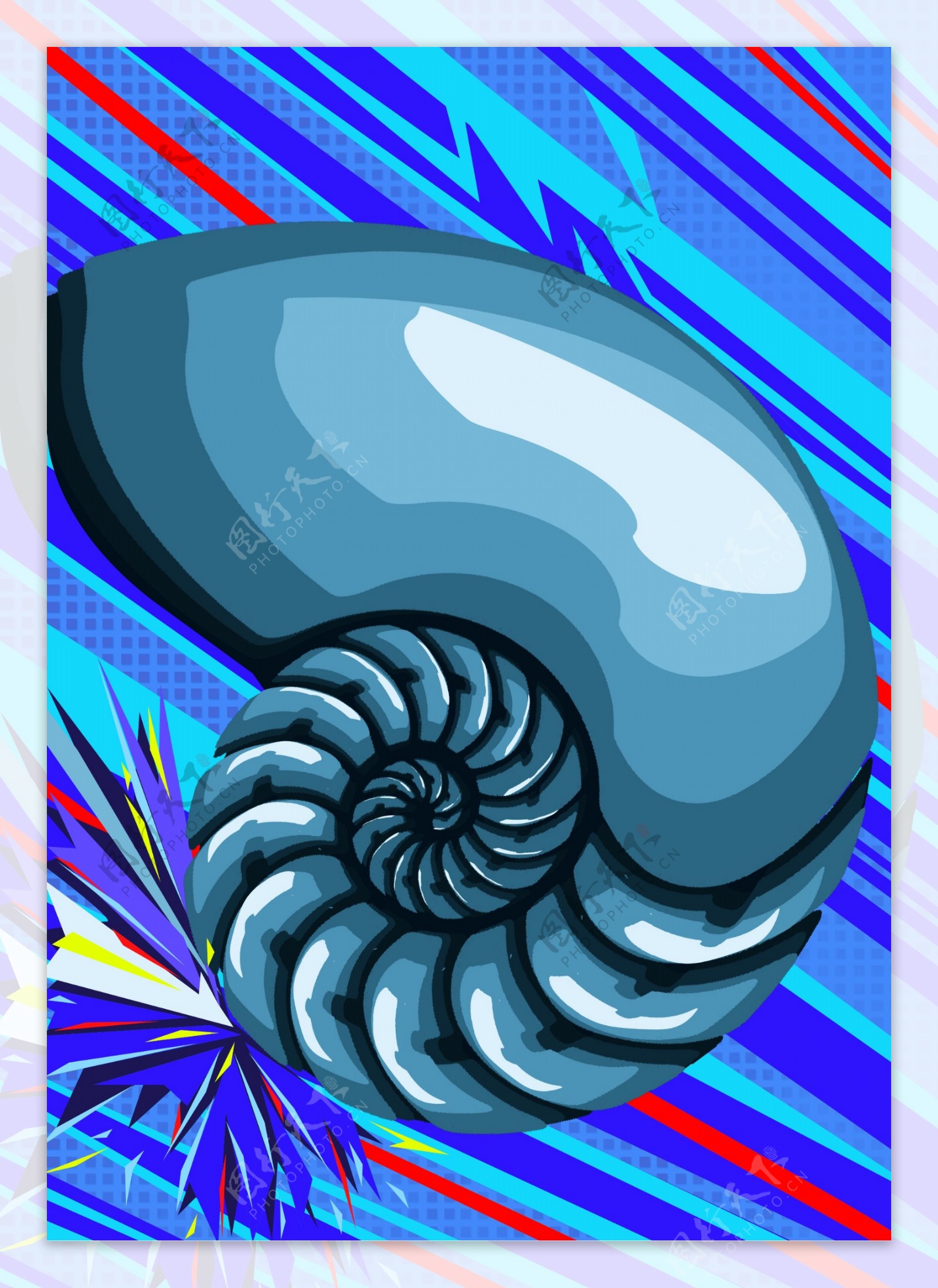 简约手绘海螺插画
