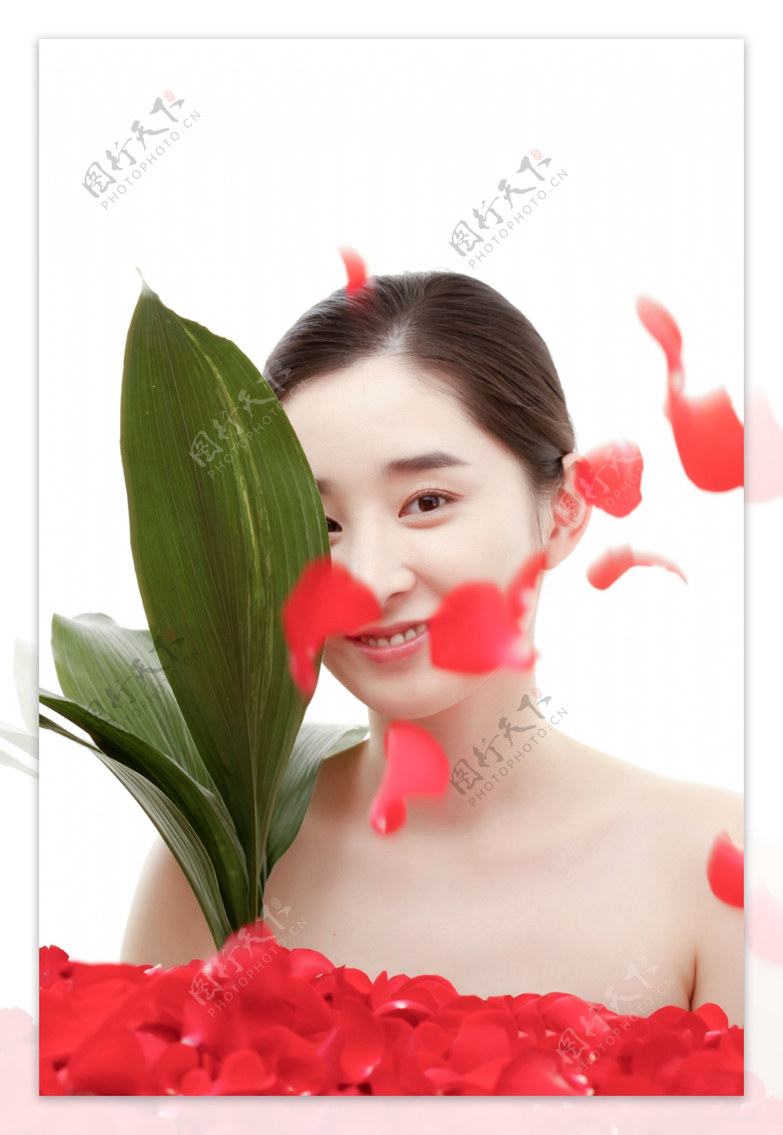 被绿叶和飘落的玫瑰花瓣遮挡的女孩图片图片