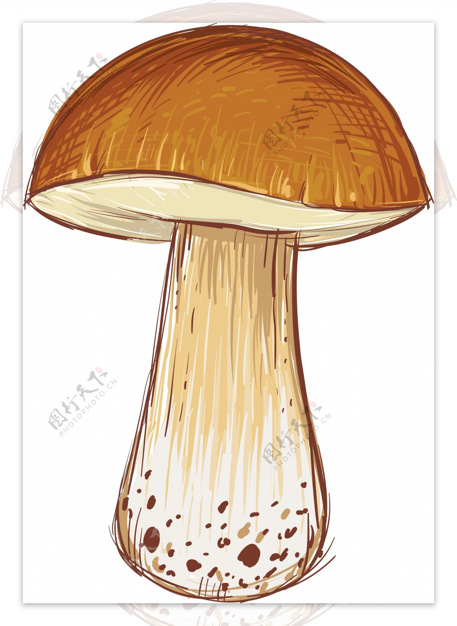 卡通蘑菇插画设计