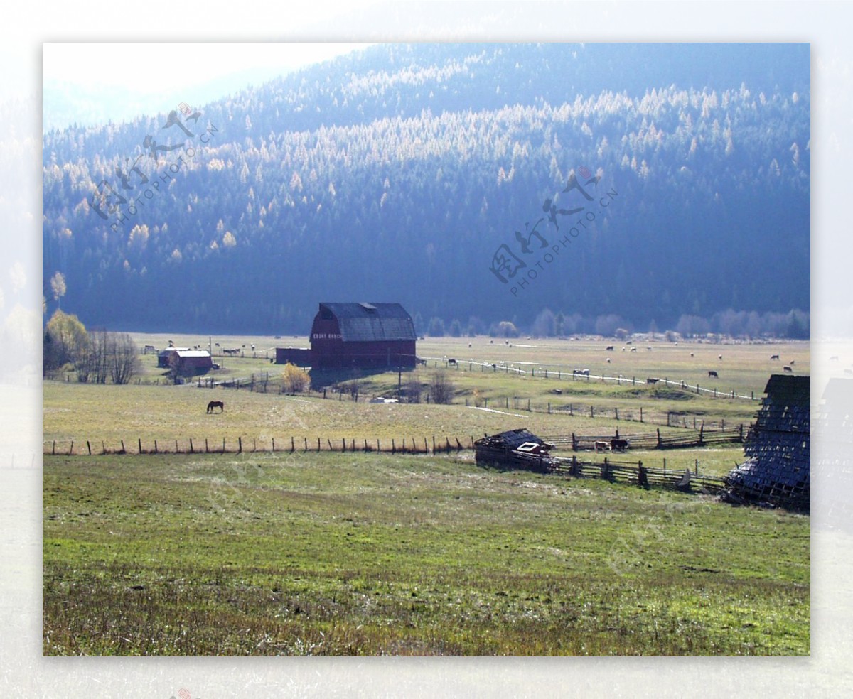 山区草木自然风景贴图素材JPG0235