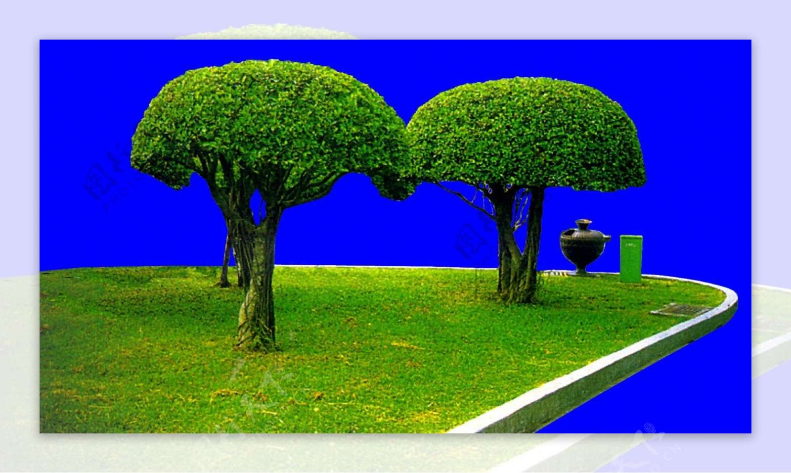 灌木植物贴图素材建筑装饰JPG2018
