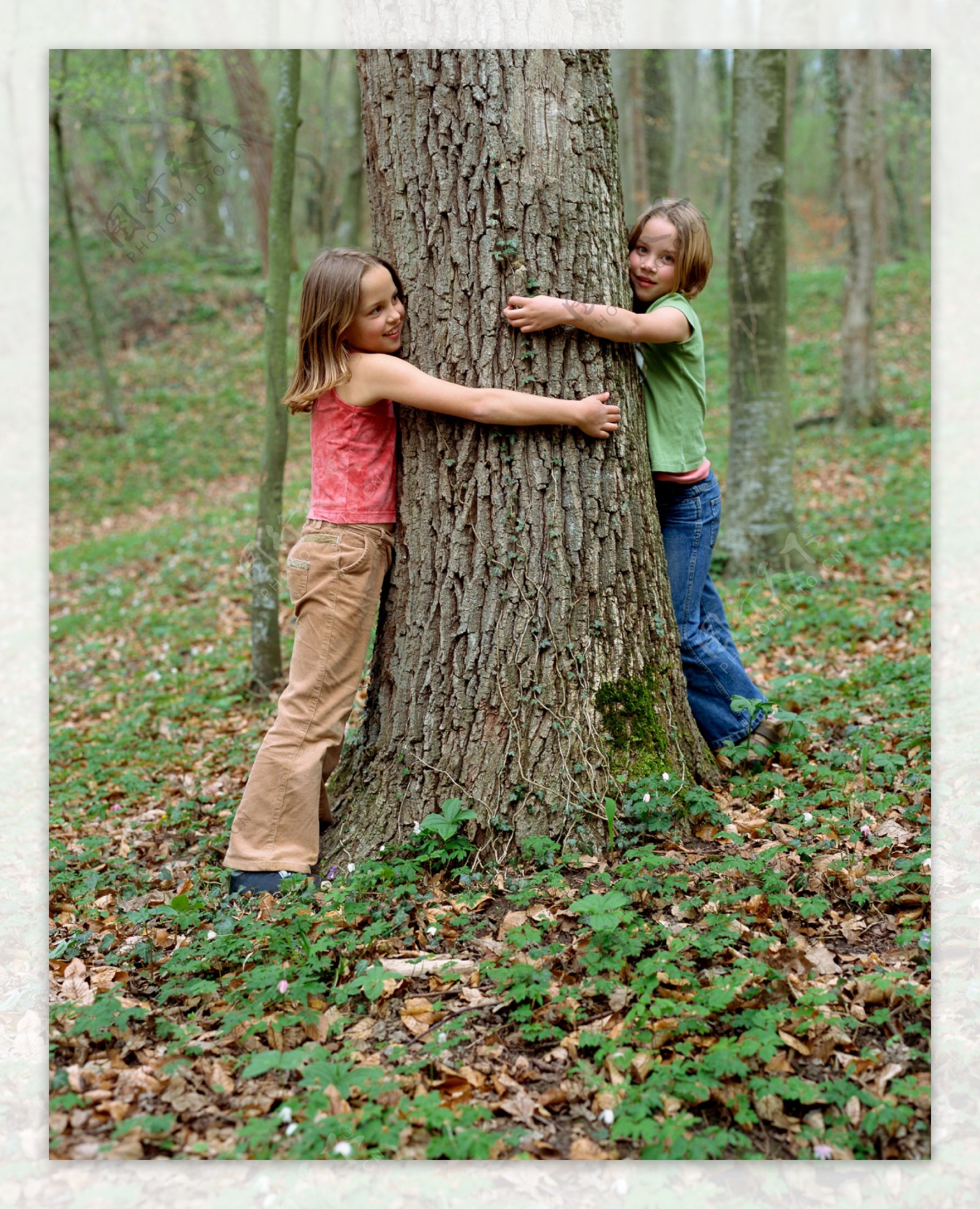 抱着大树的小女孩图片