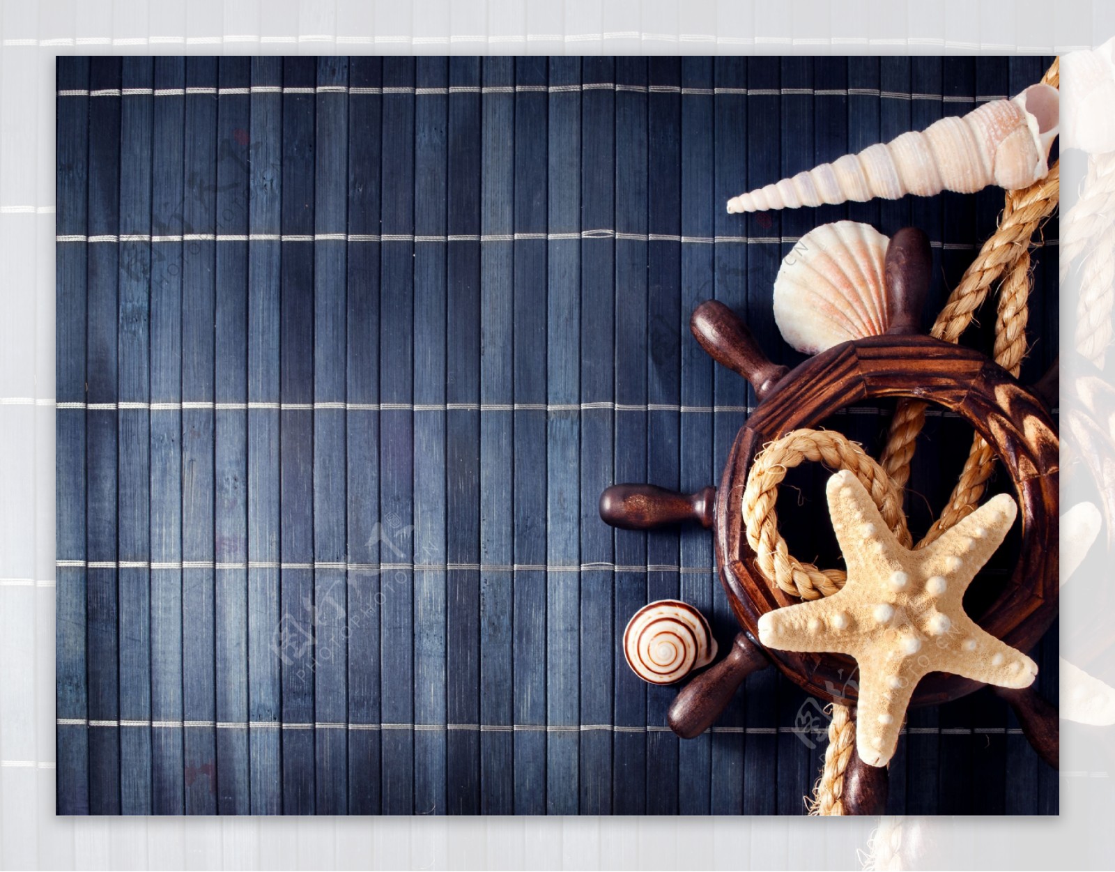 船舵与海星贝壳海螺图片