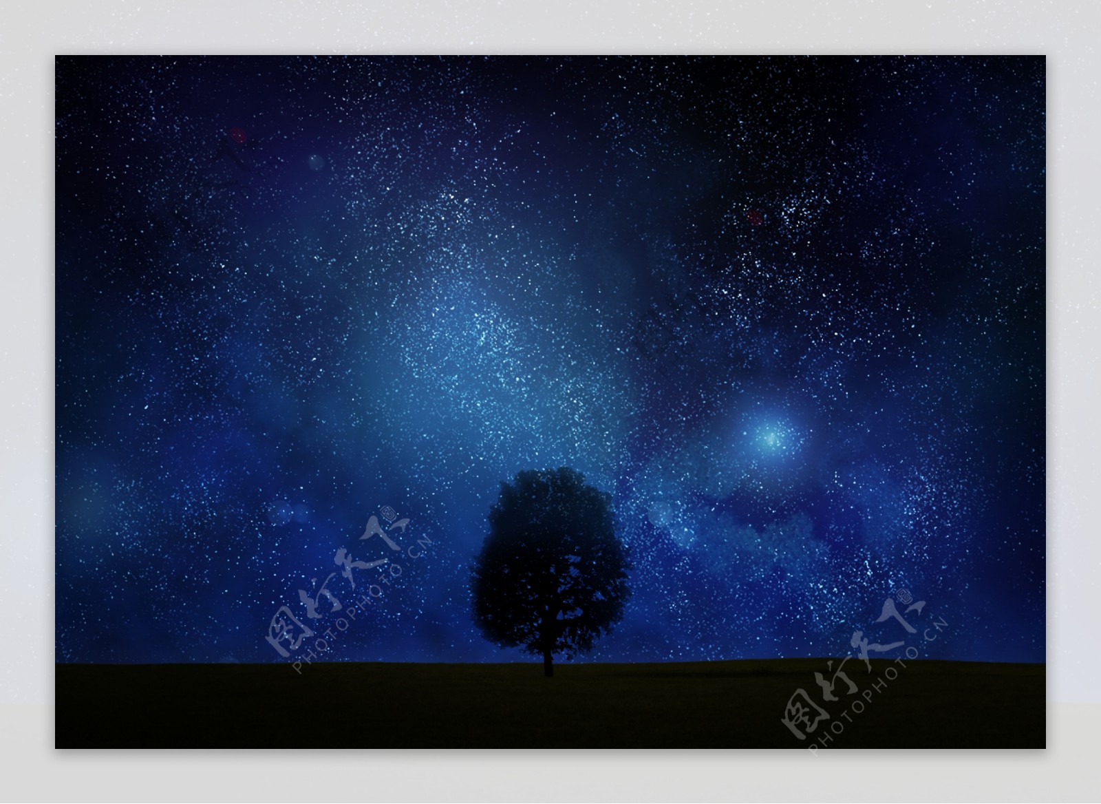 夜空下的树木图片