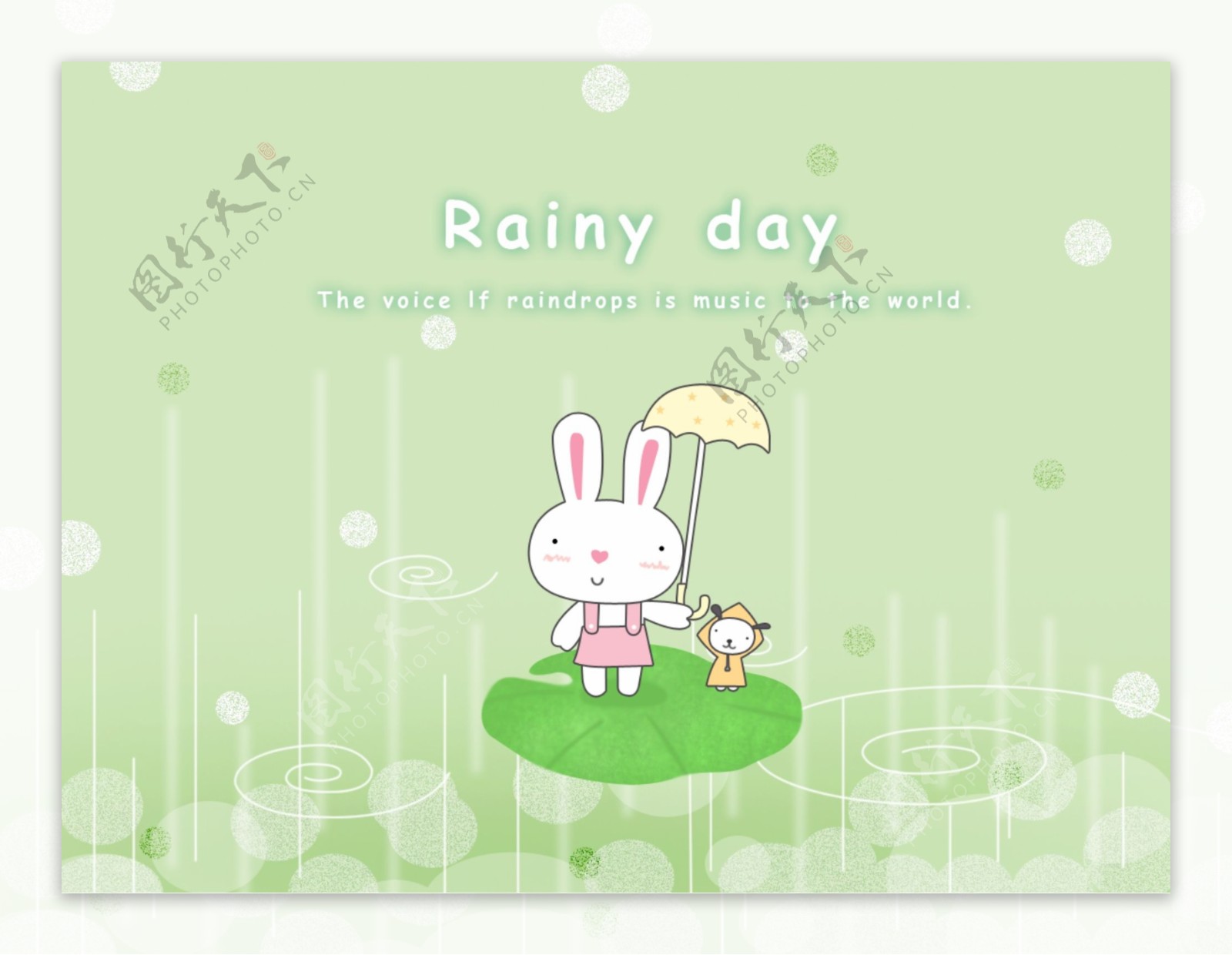 雨中的白兔