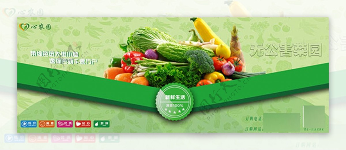 心农园蔬菜海报