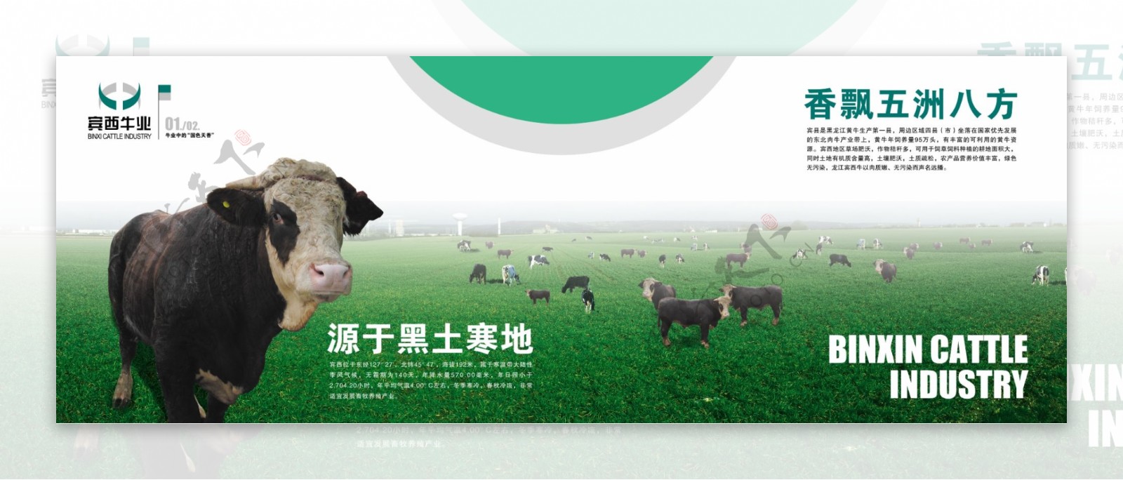 宾西牛业企业宣传册0304