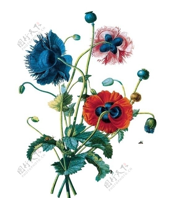 花卉油画2950厘米X60厘米