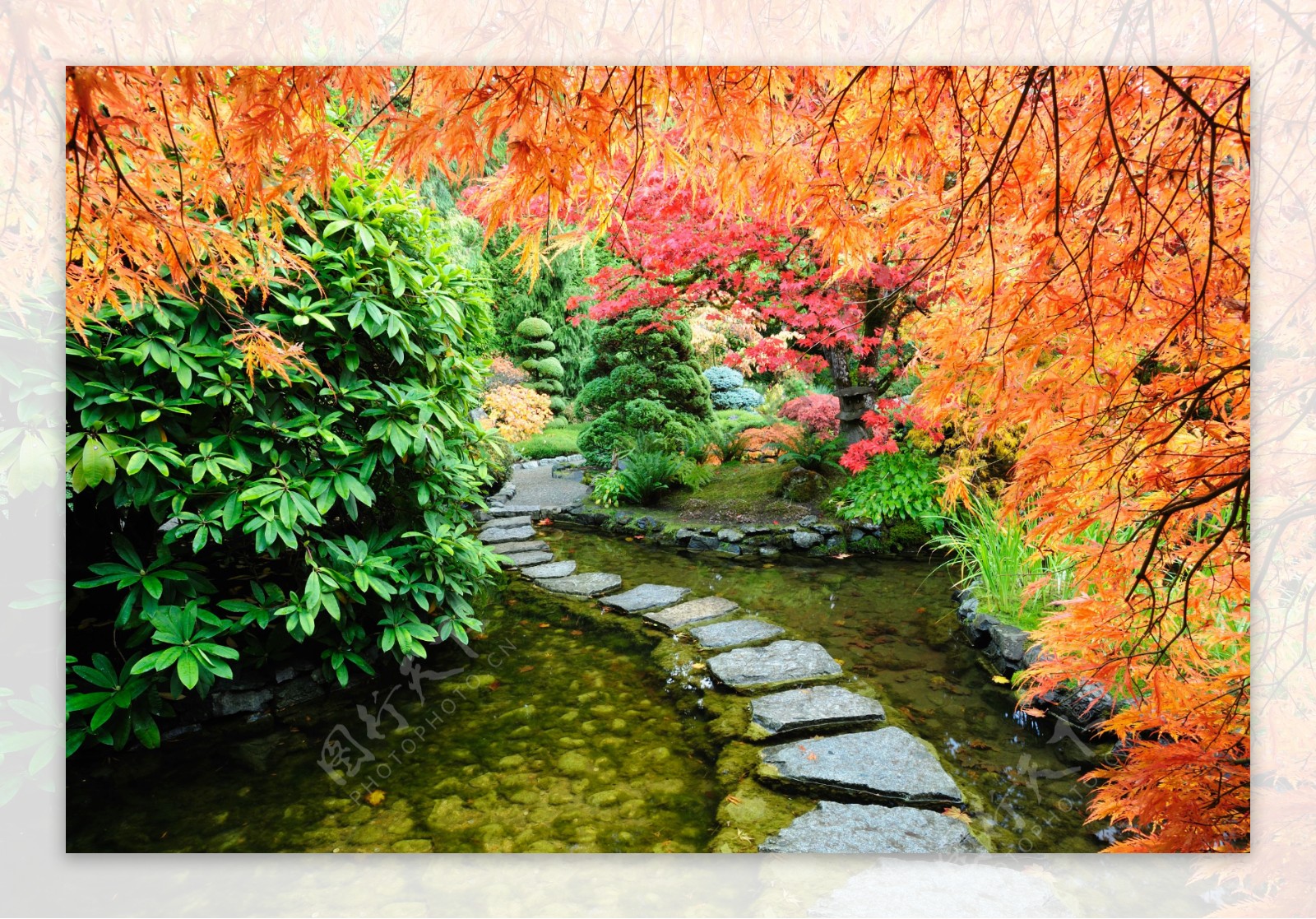 秋天日本公园风景