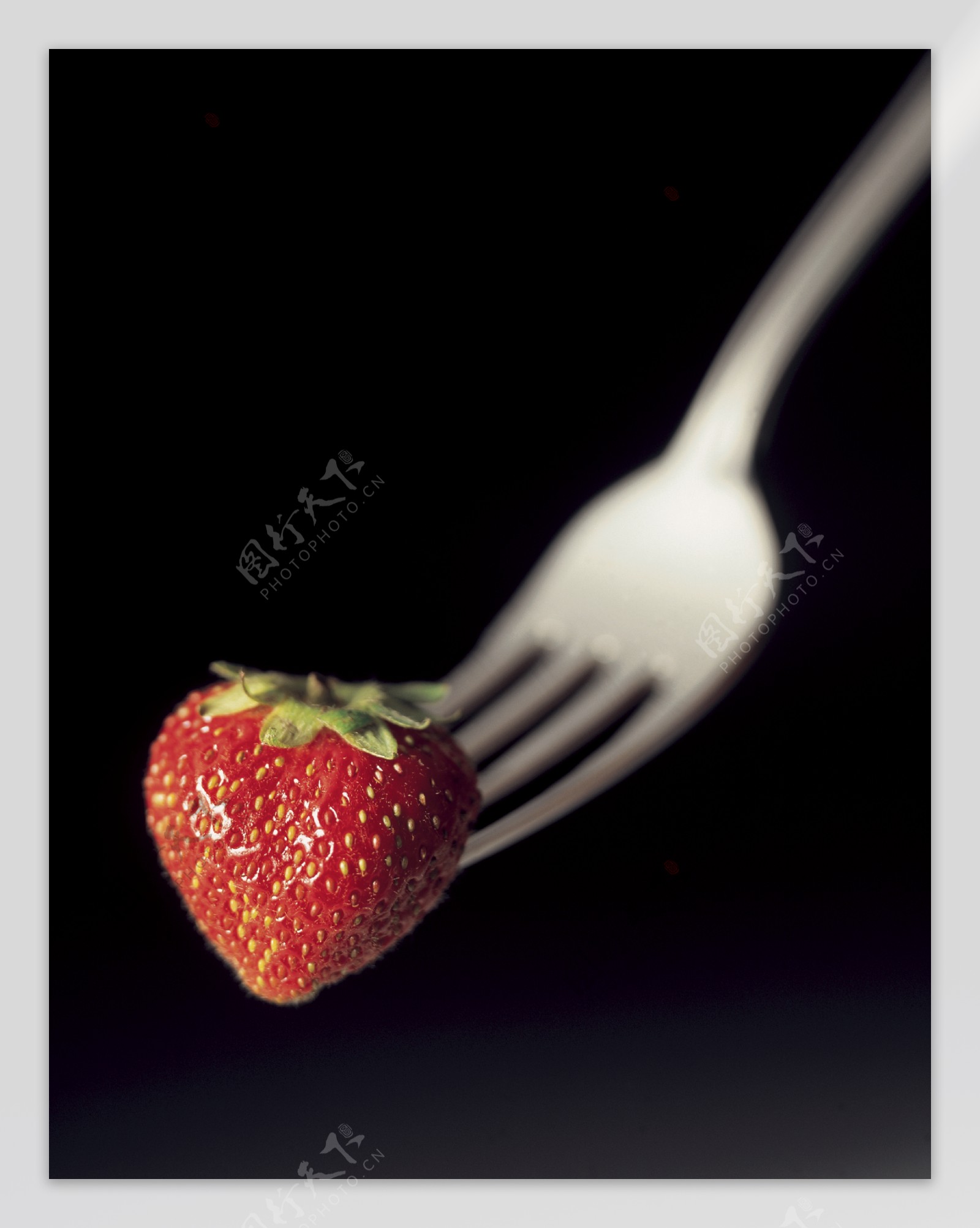 草莓食物