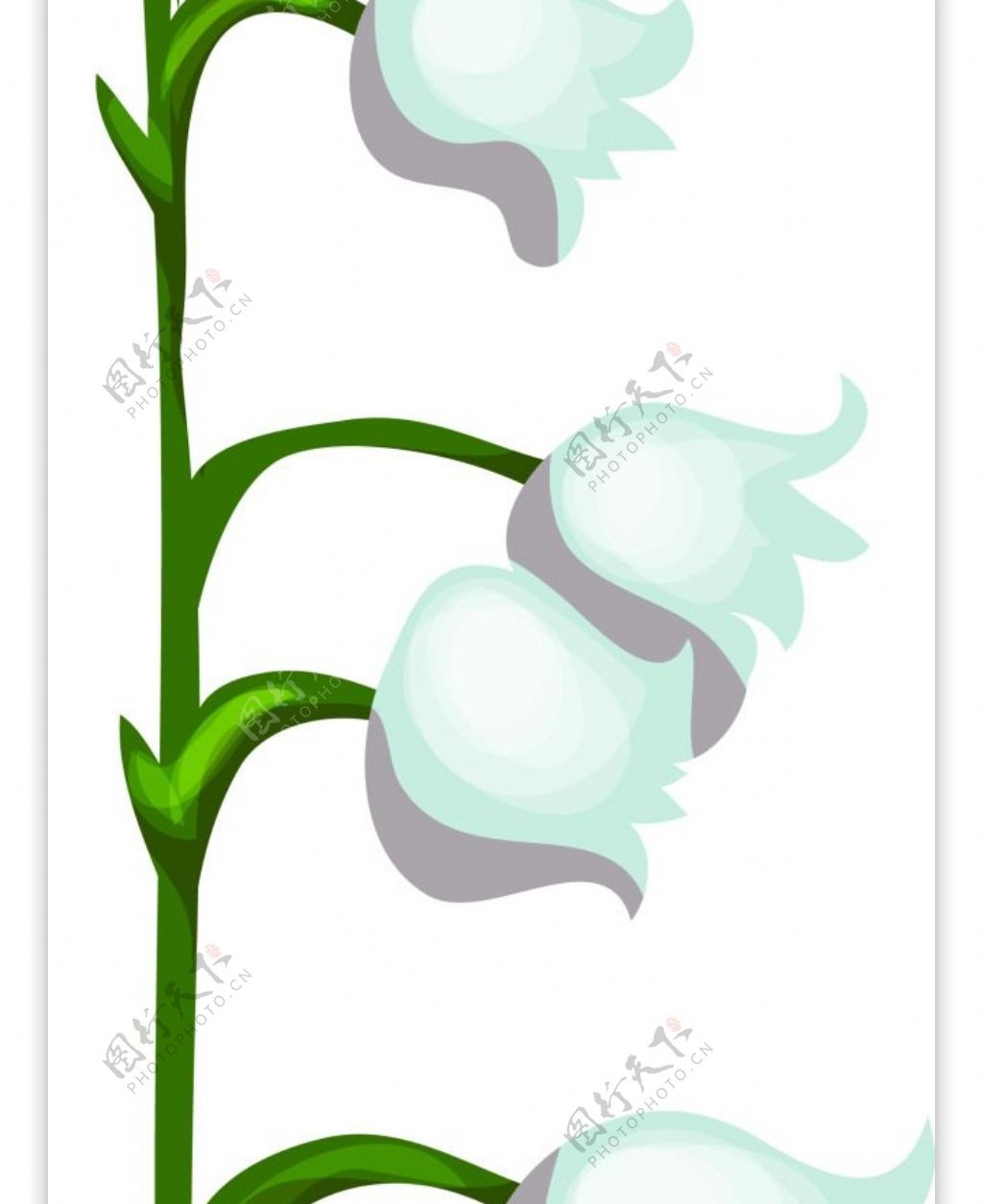 铃铛花卡通植物矢量素材