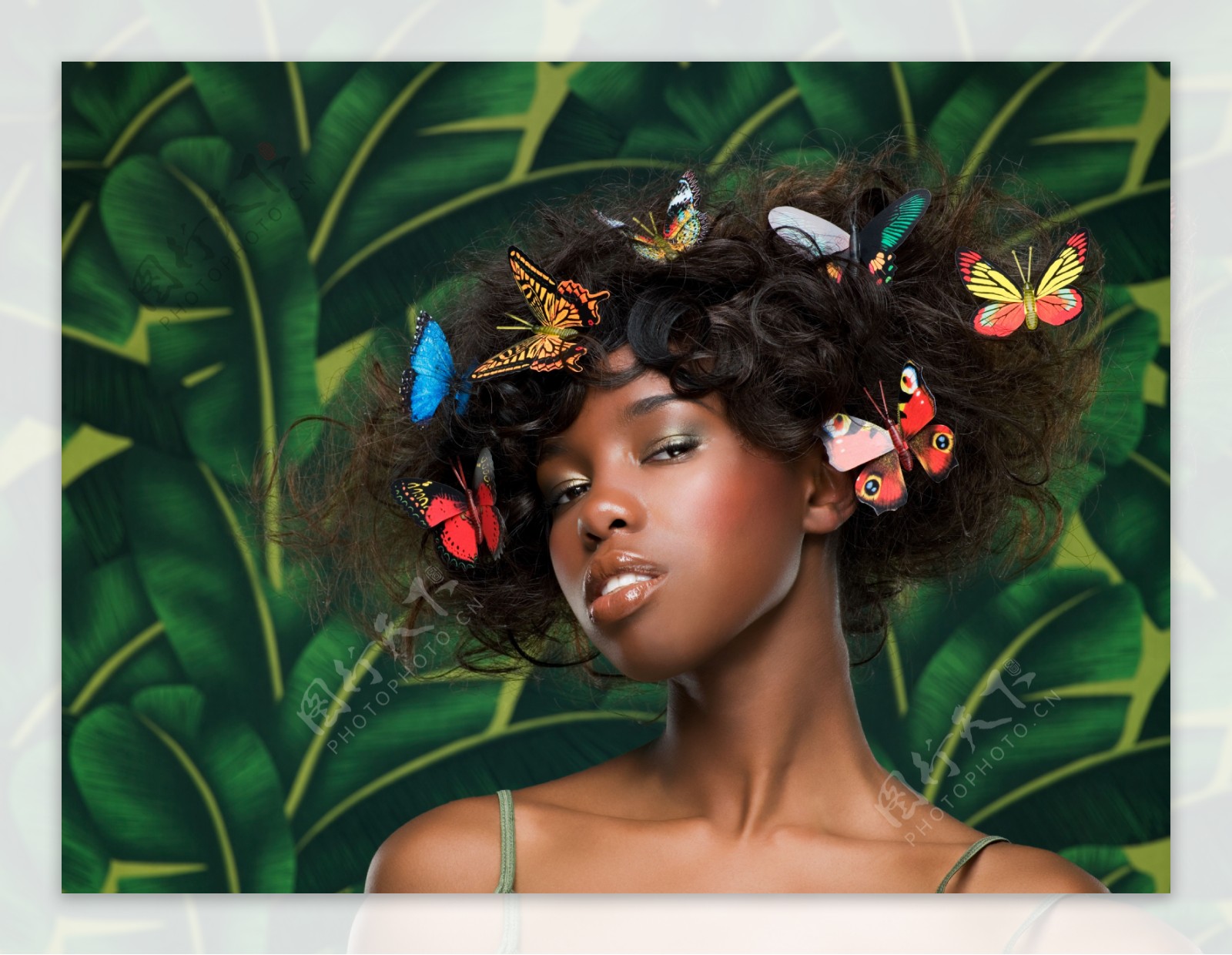 头上落满蝴蝶的黑人模特图片