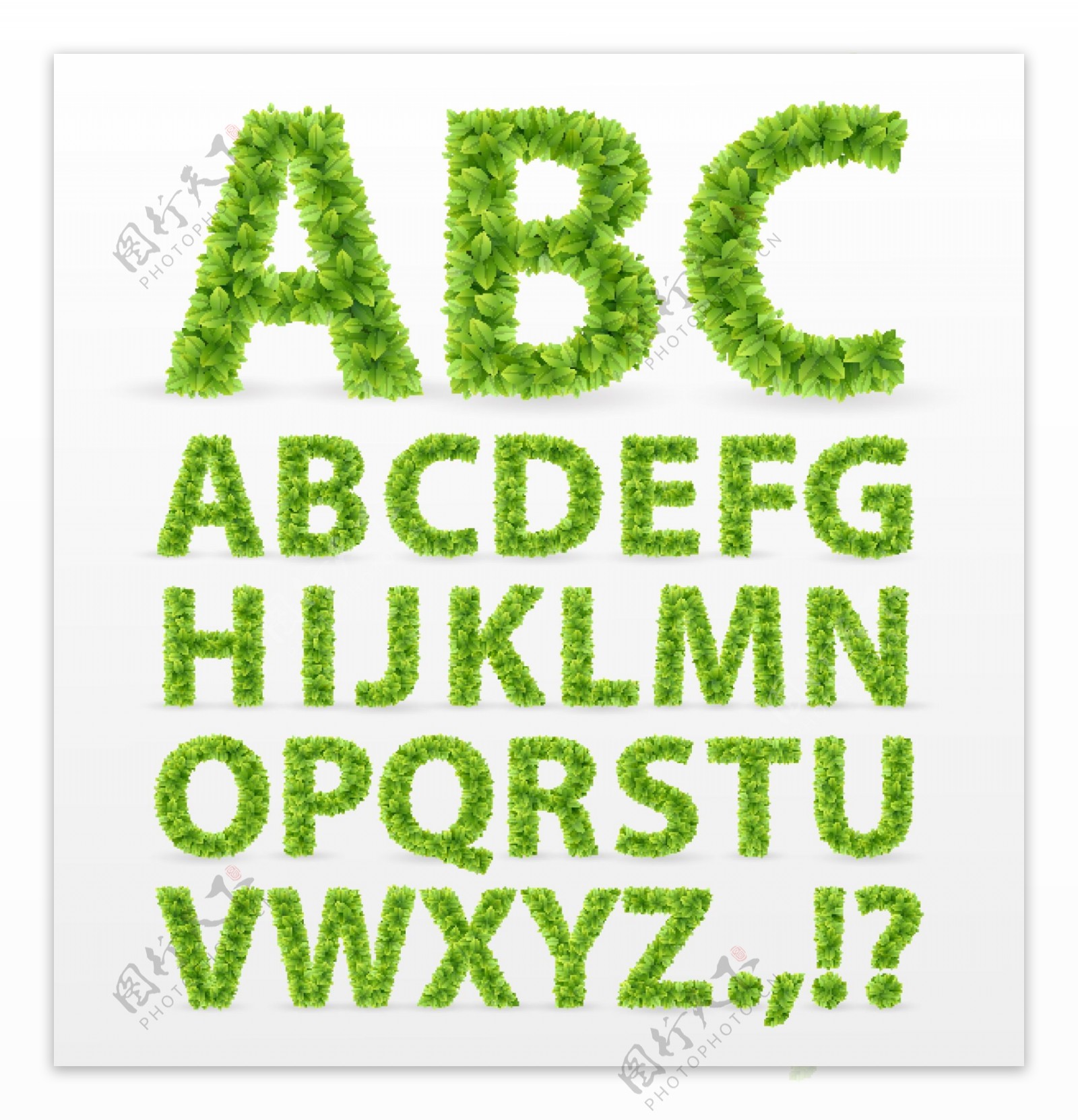 绿叶组成的字母