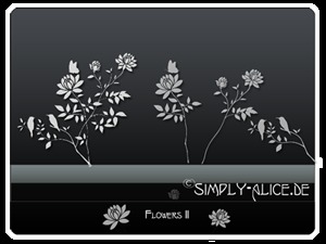 漂亮的植物花纹照片美图背景边框饰品PS笔刷.20
