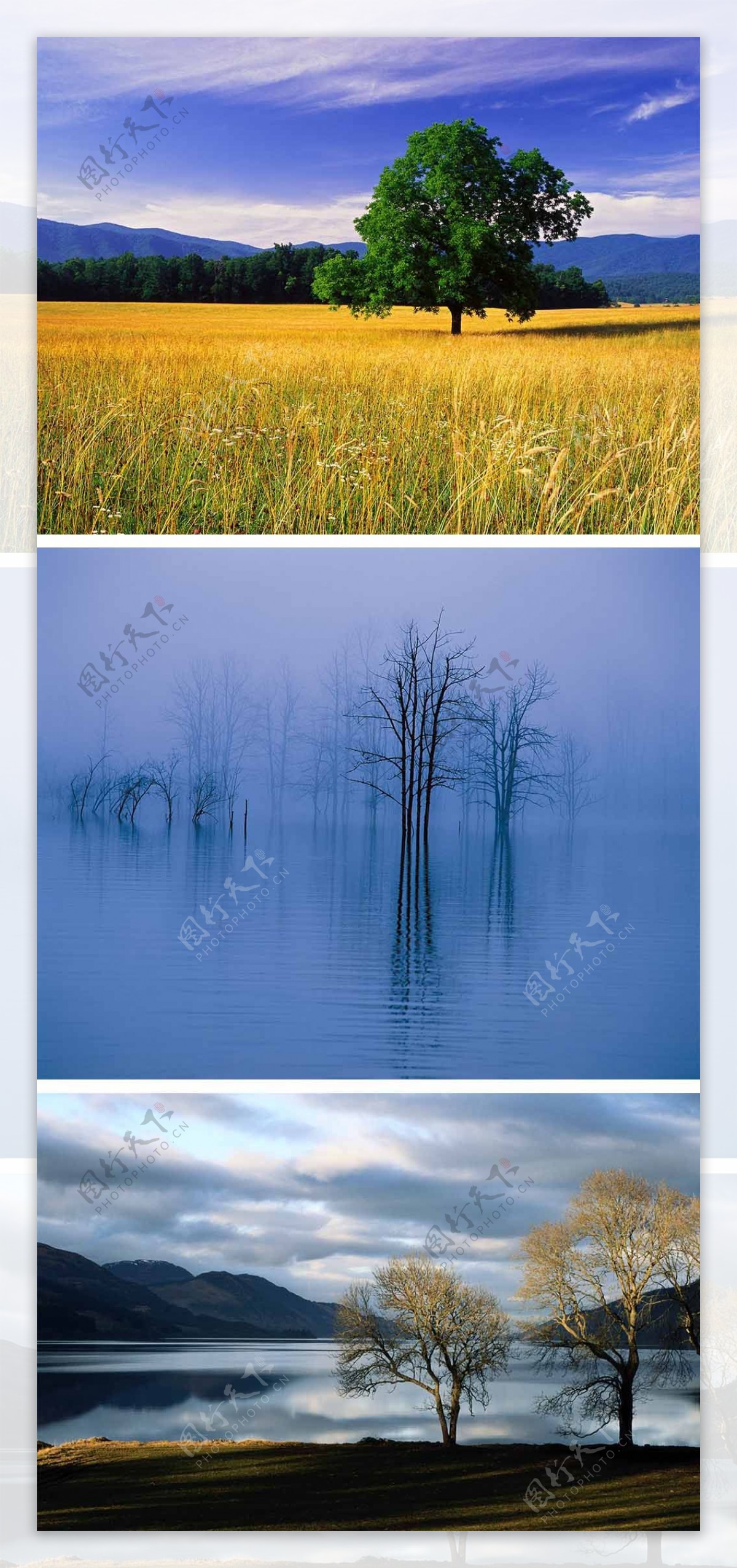 自然风光河边树蓝天背景图片