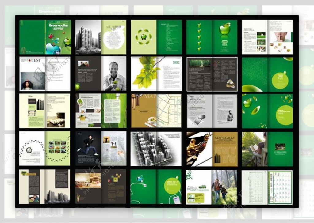 绿色健康杂志画册设计矢量素材