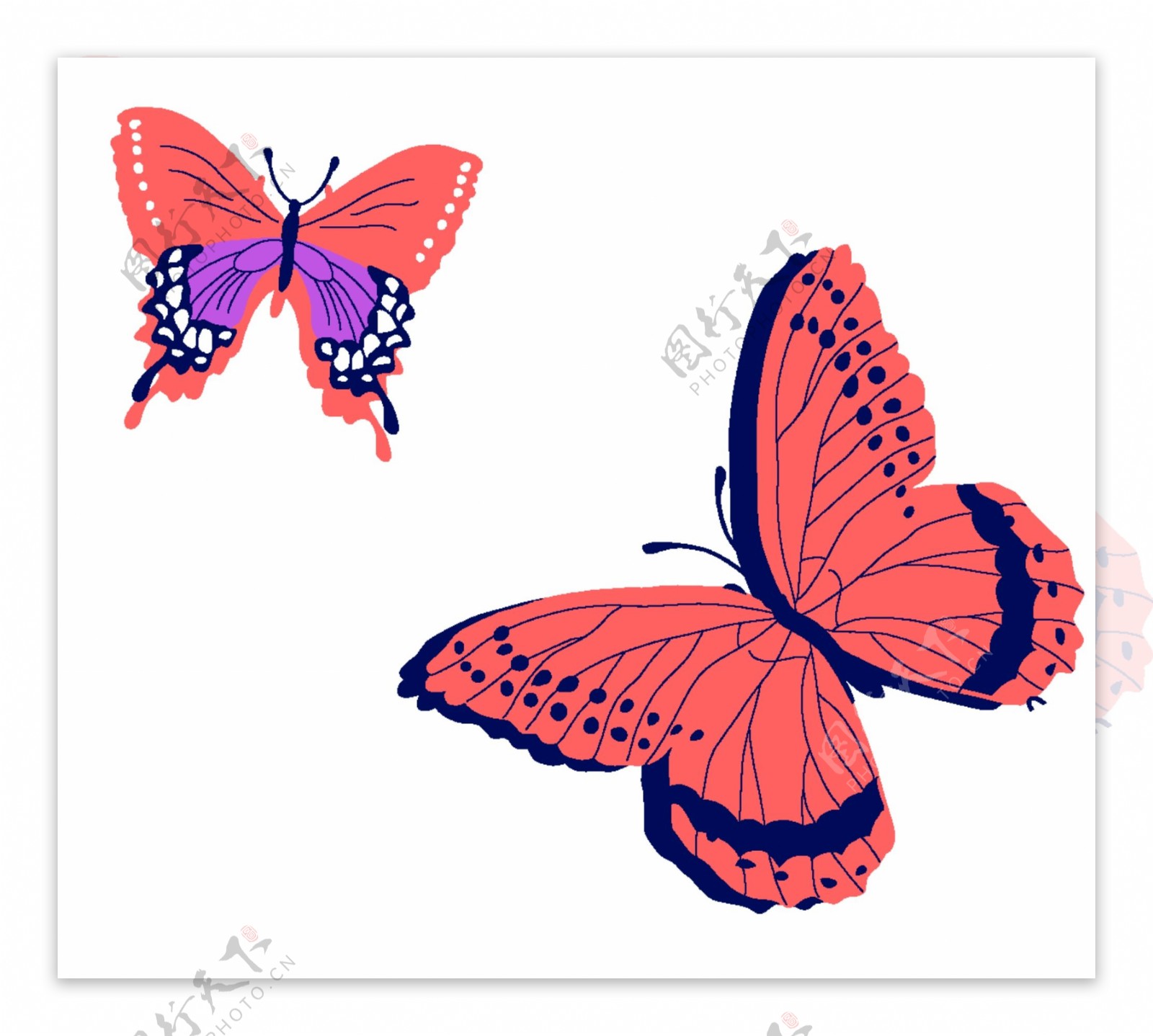 蝴蝶彩绘动物分层PSD0008
