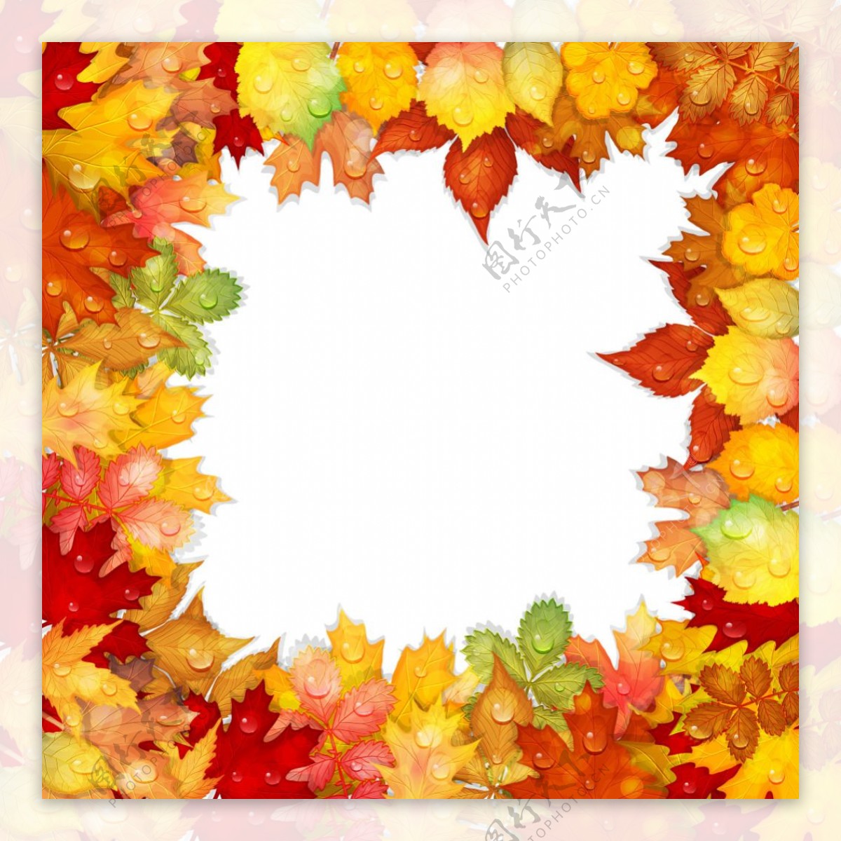 秋天的叶子与水滴矢量边框素材