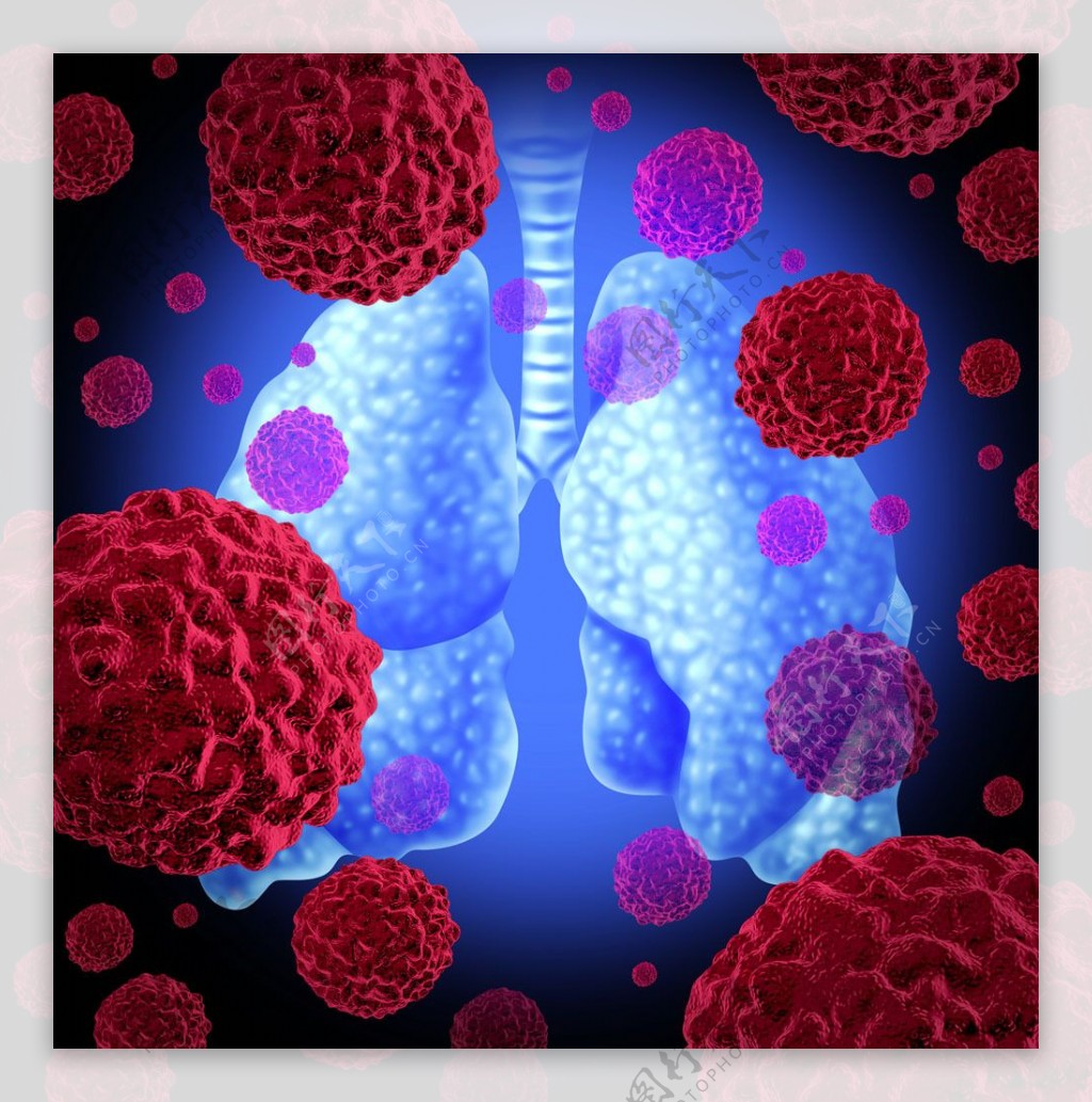 肺部模拟图图片