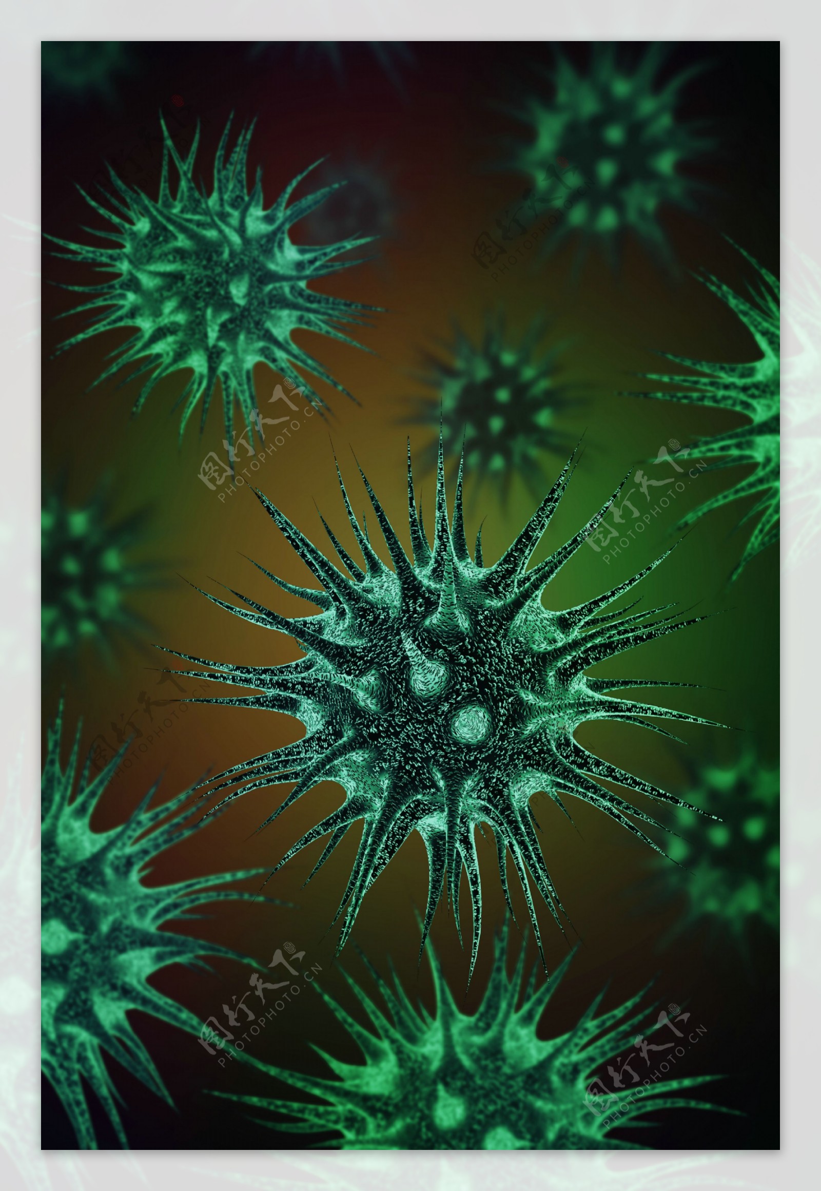 深绿有刺的病毒图片