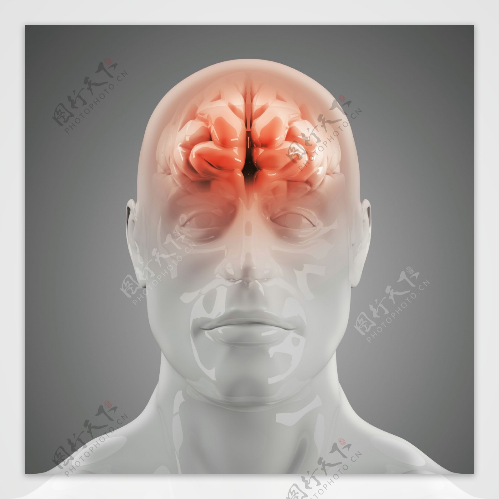 人体脑部X光图像图片