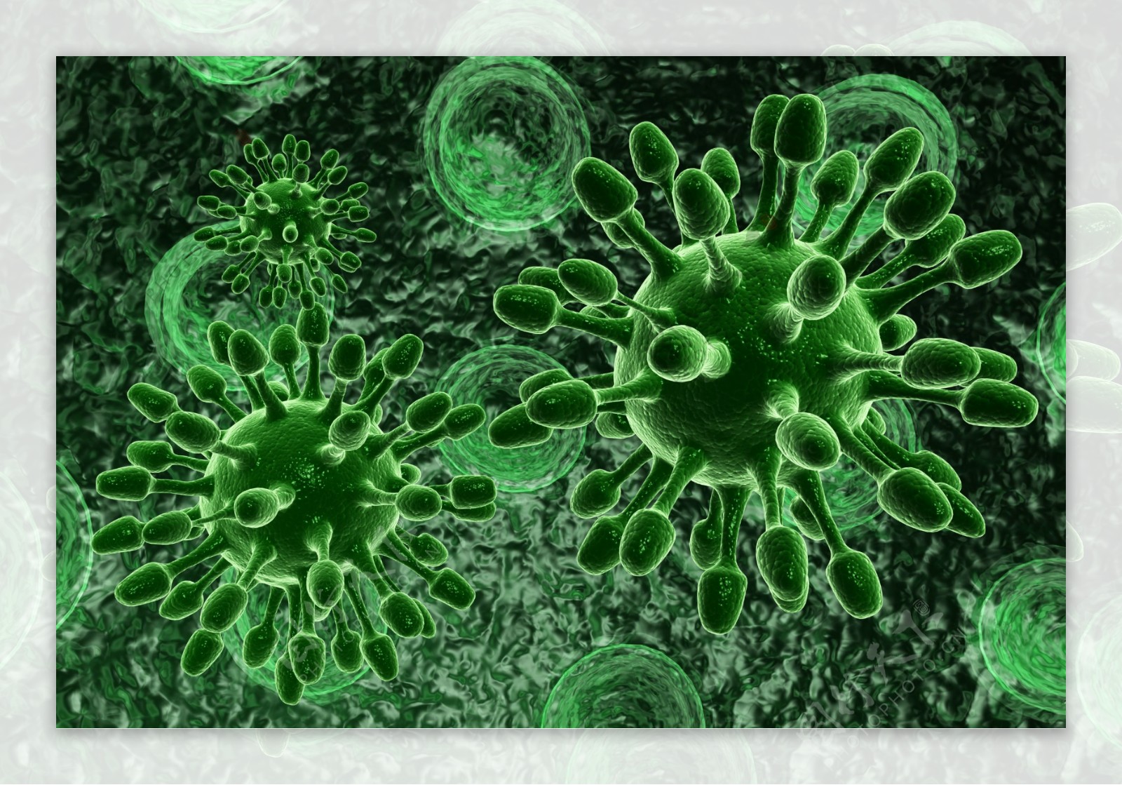 绿色生物细菌图片