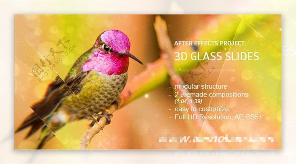 优雅玻璃质感相册动画模板AE模板