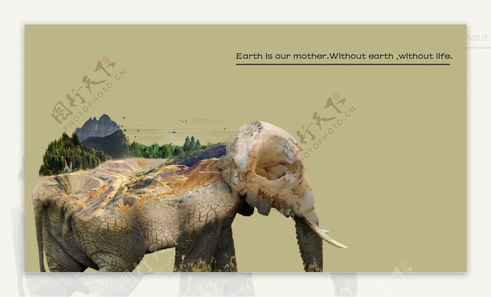 生态平衡大象