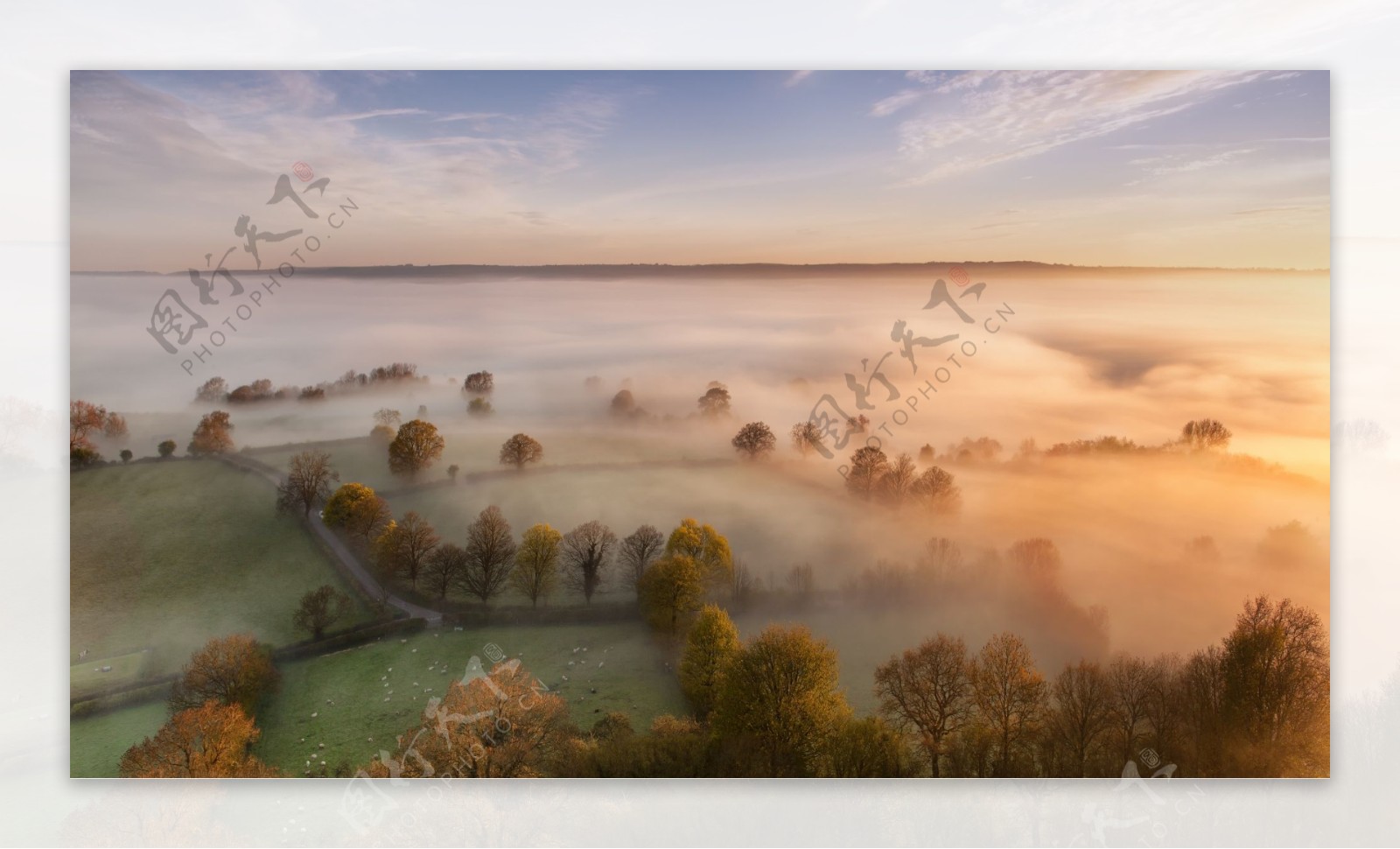 俯拍迷雾中的田野背景图
