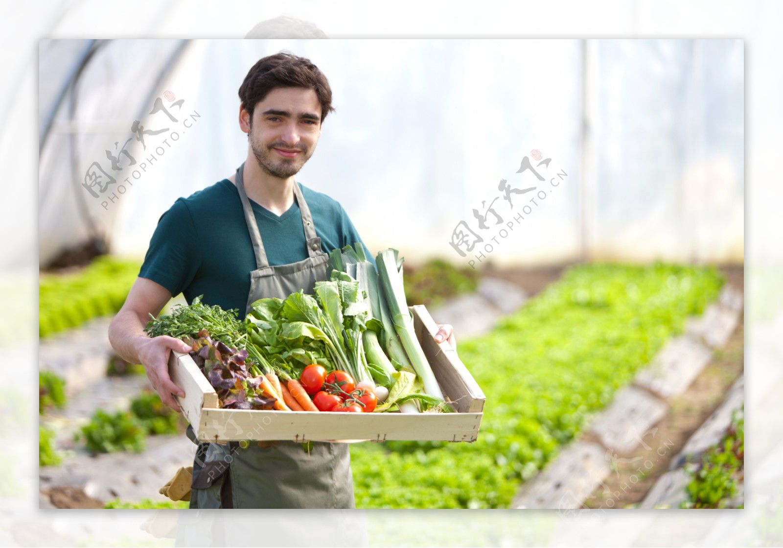 端在新鲜蔬菜的农民图片