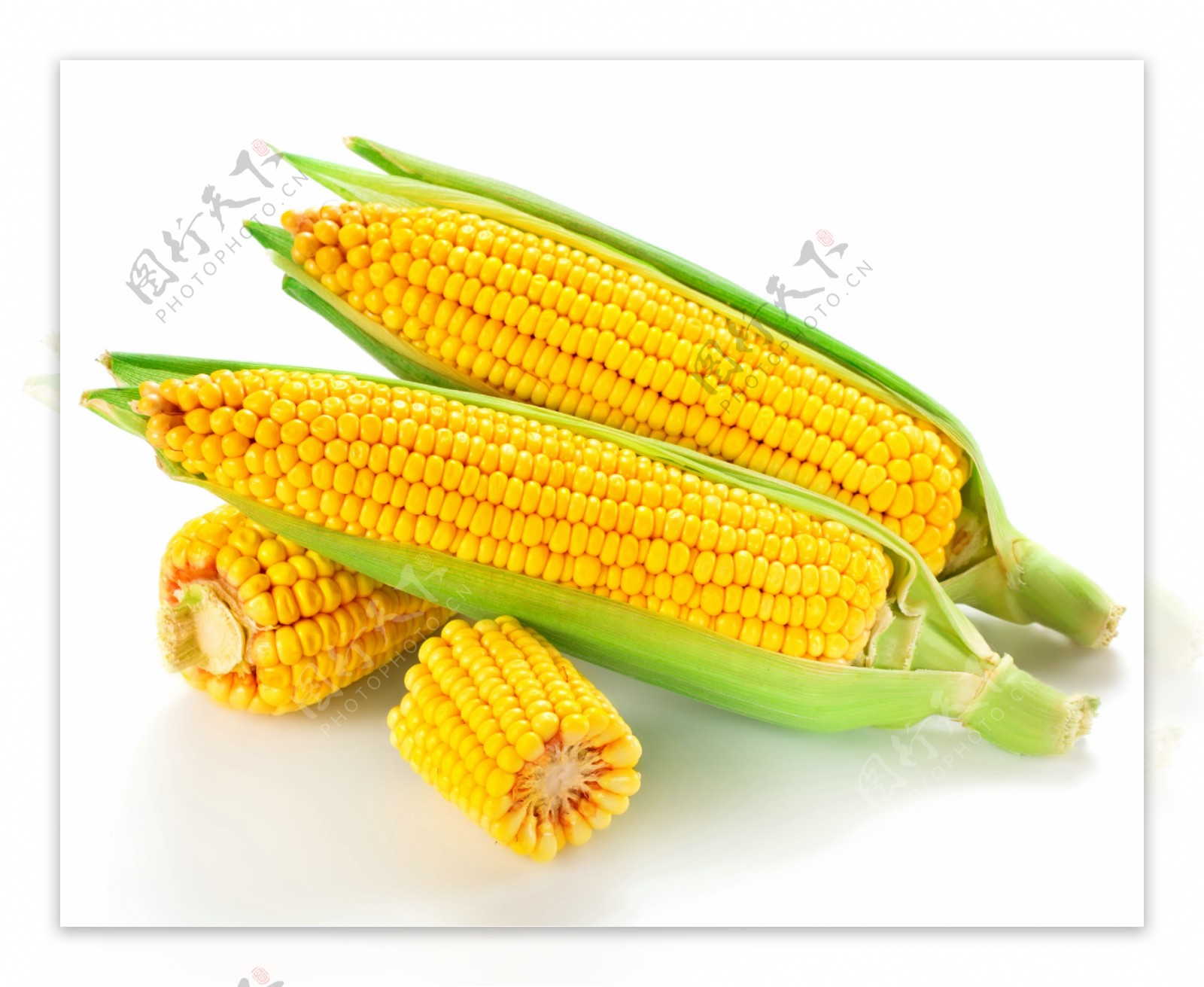 新鲜玉米摄影图片