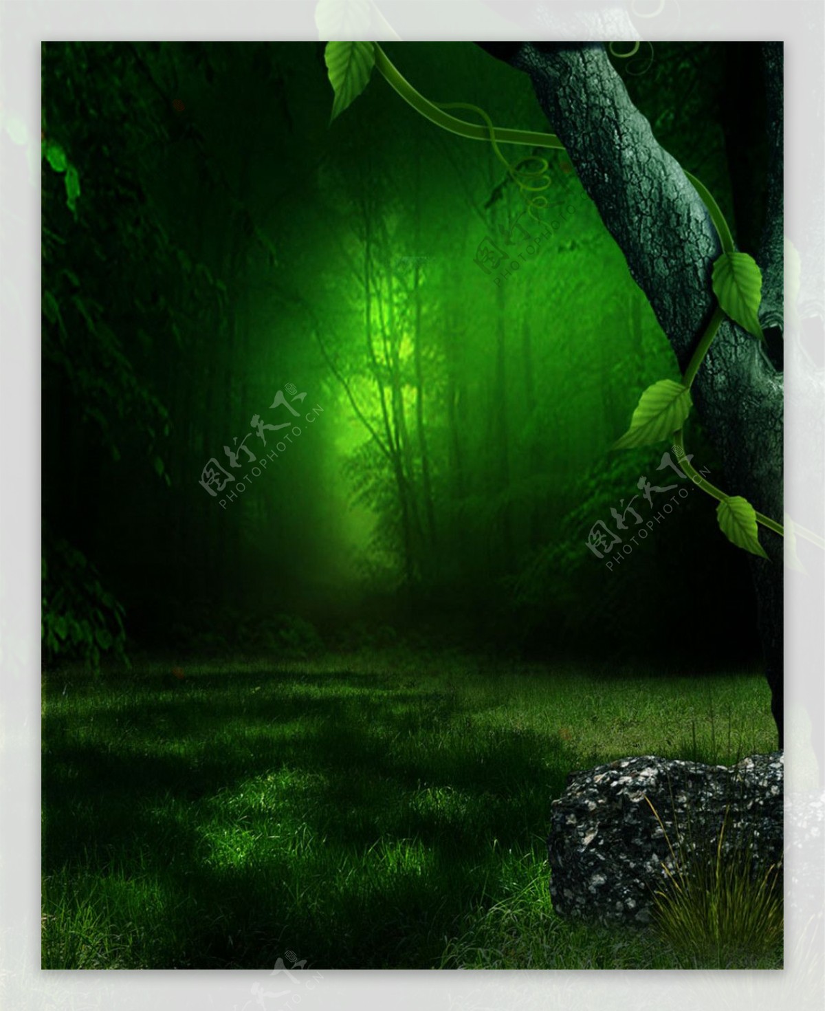 绿色森林背景图片