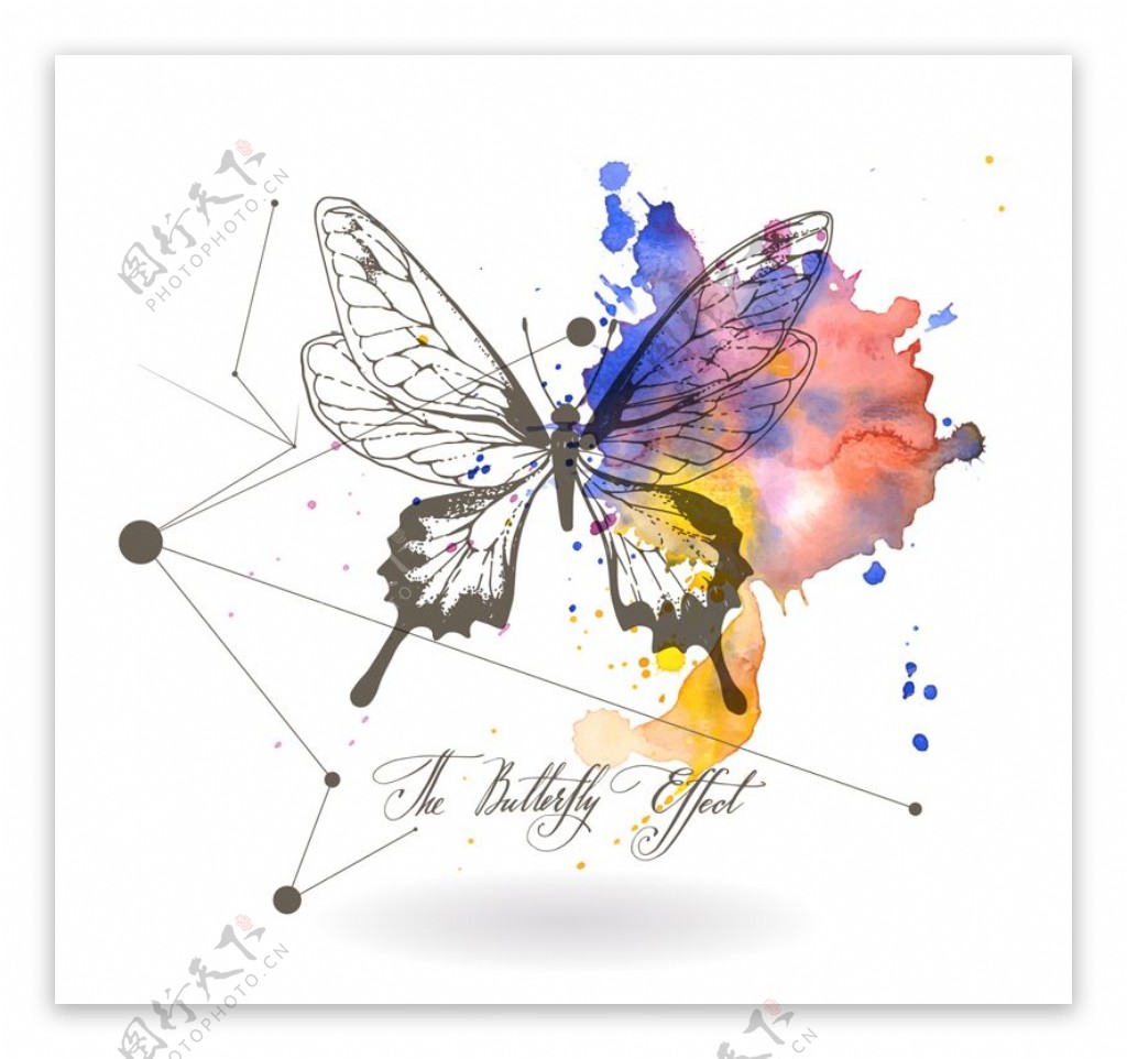 蝴蝶与水彩墨迹矢量素材