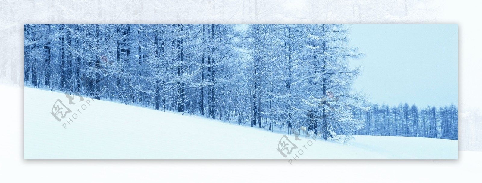 雪景海报背景素材54