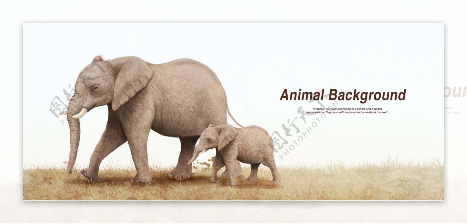 彩铅画效果动物分层背景大象