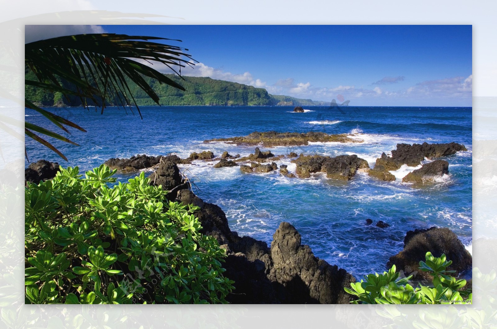 美国夏威夷毛伊岛自然风景
