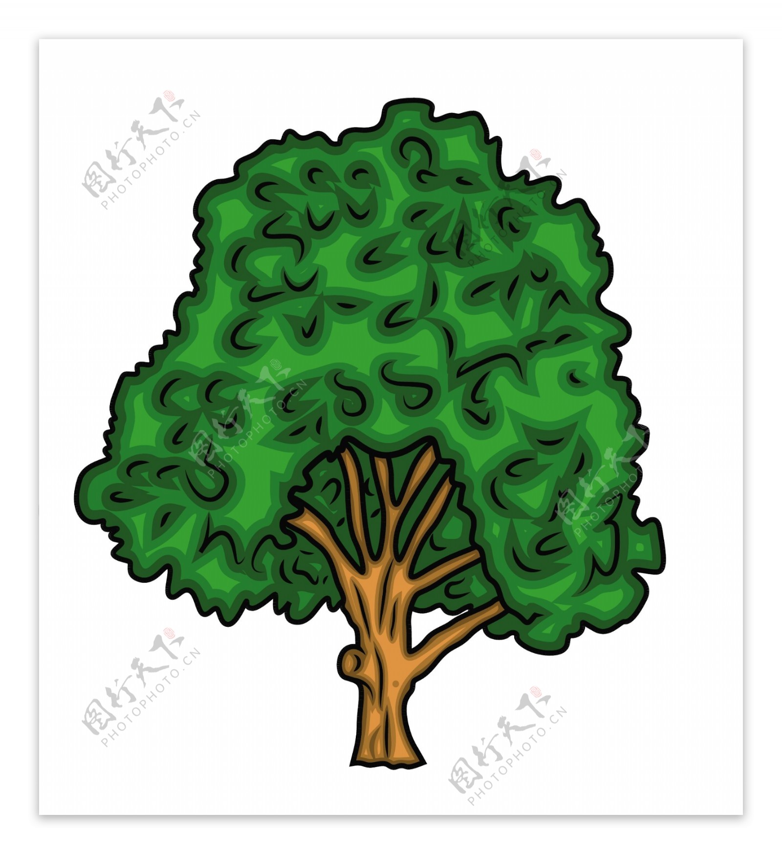 橡树的绿色的树