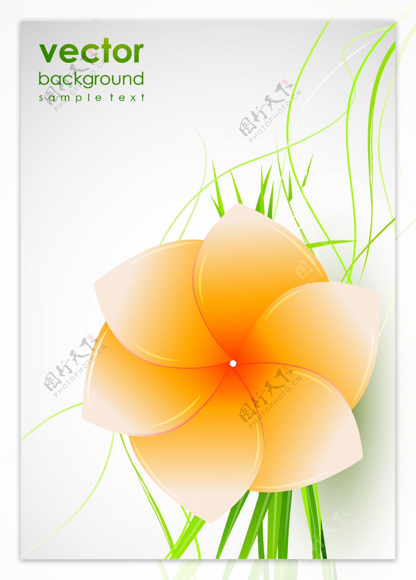 花卉图案背景设计图片