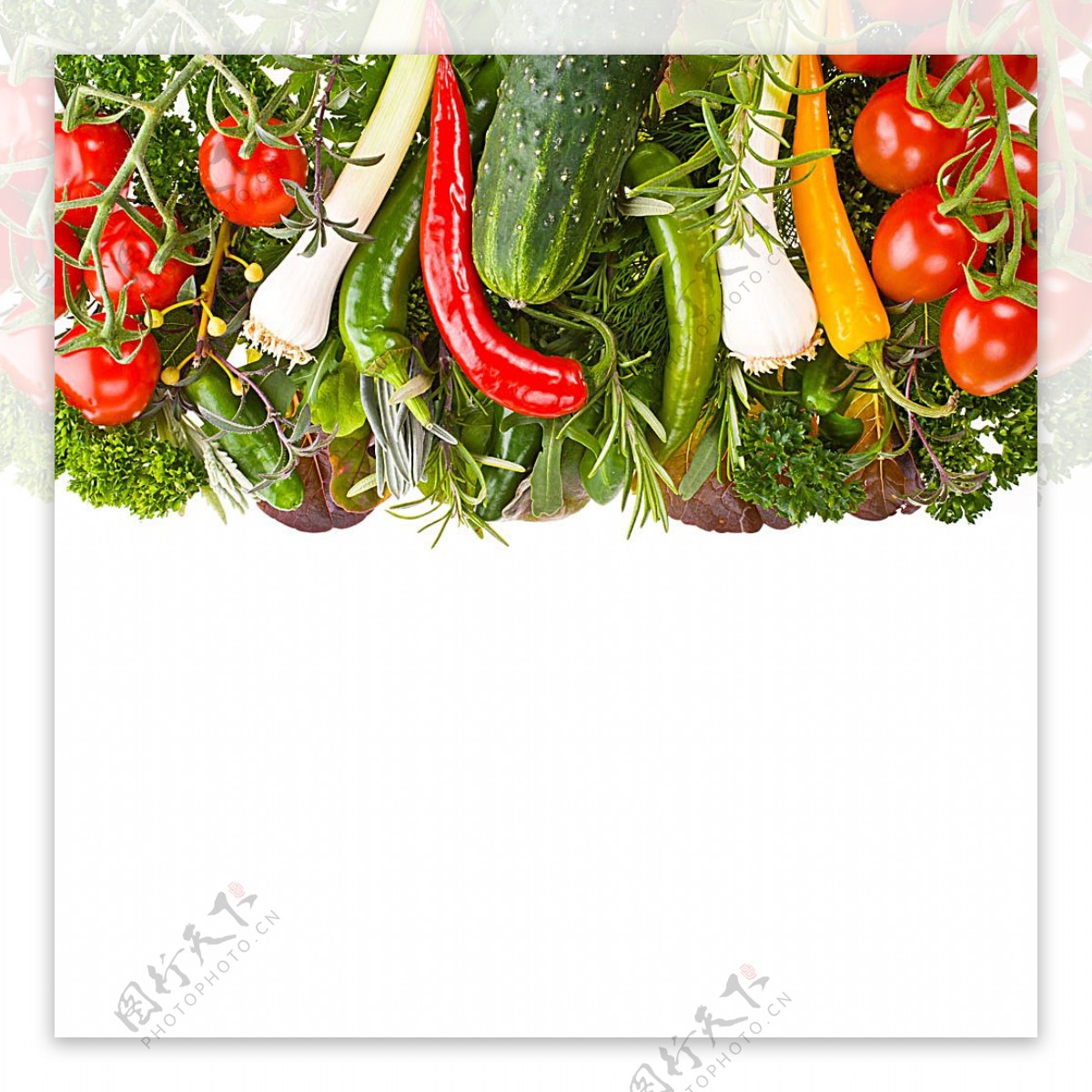 新鲜蔬菜背景边框