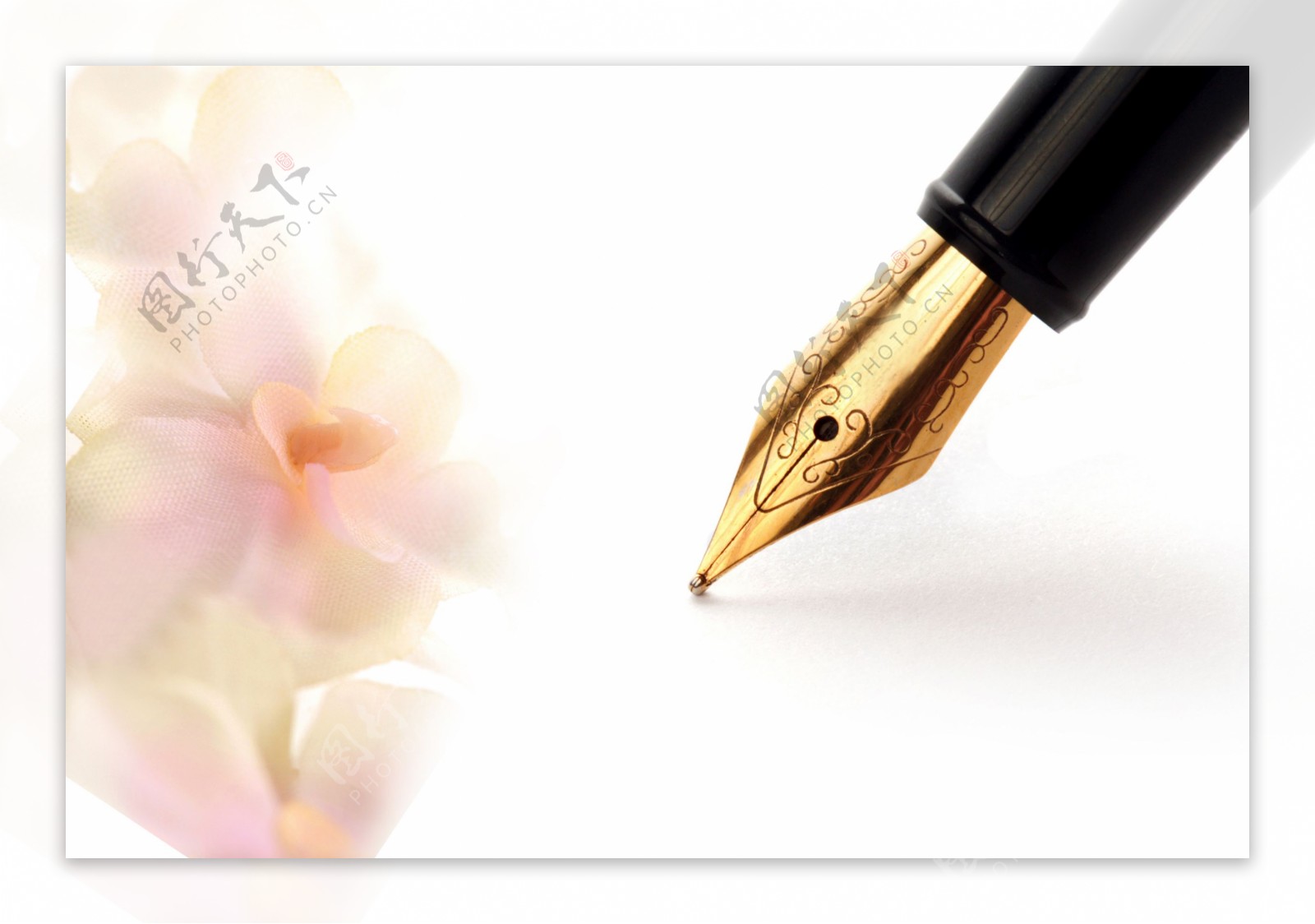 梦幻鲜花背景与钢笔