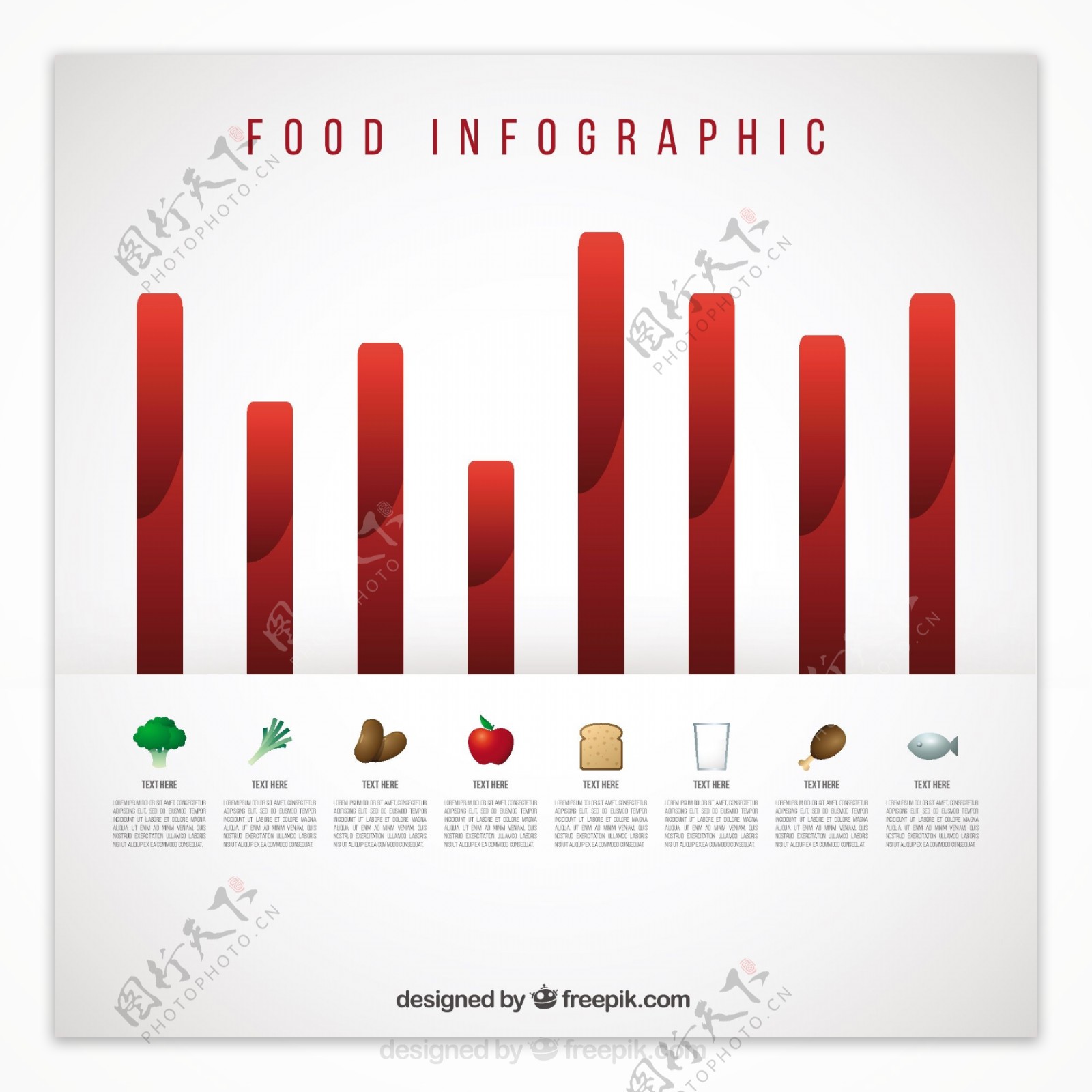 矢量食物营养图表