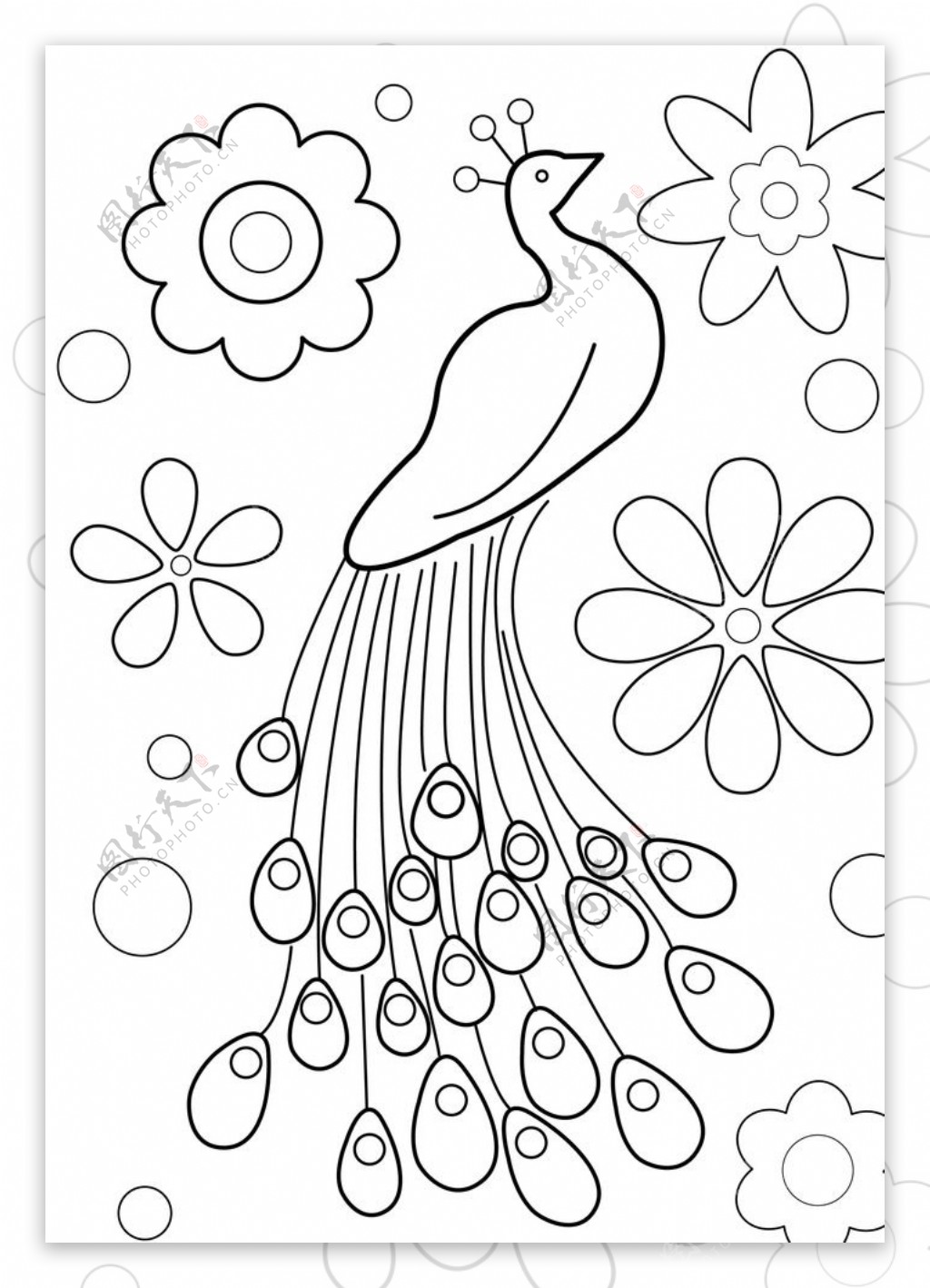 孔雀线稿图花朵
